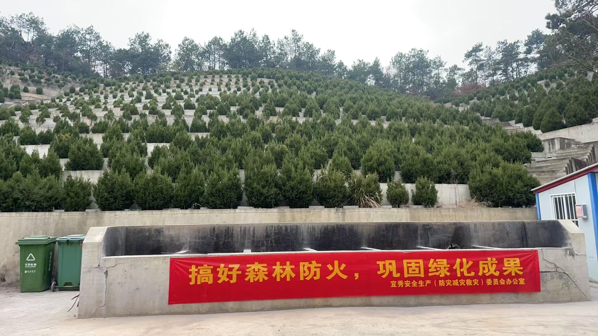五横乡公益性公墓园区图片