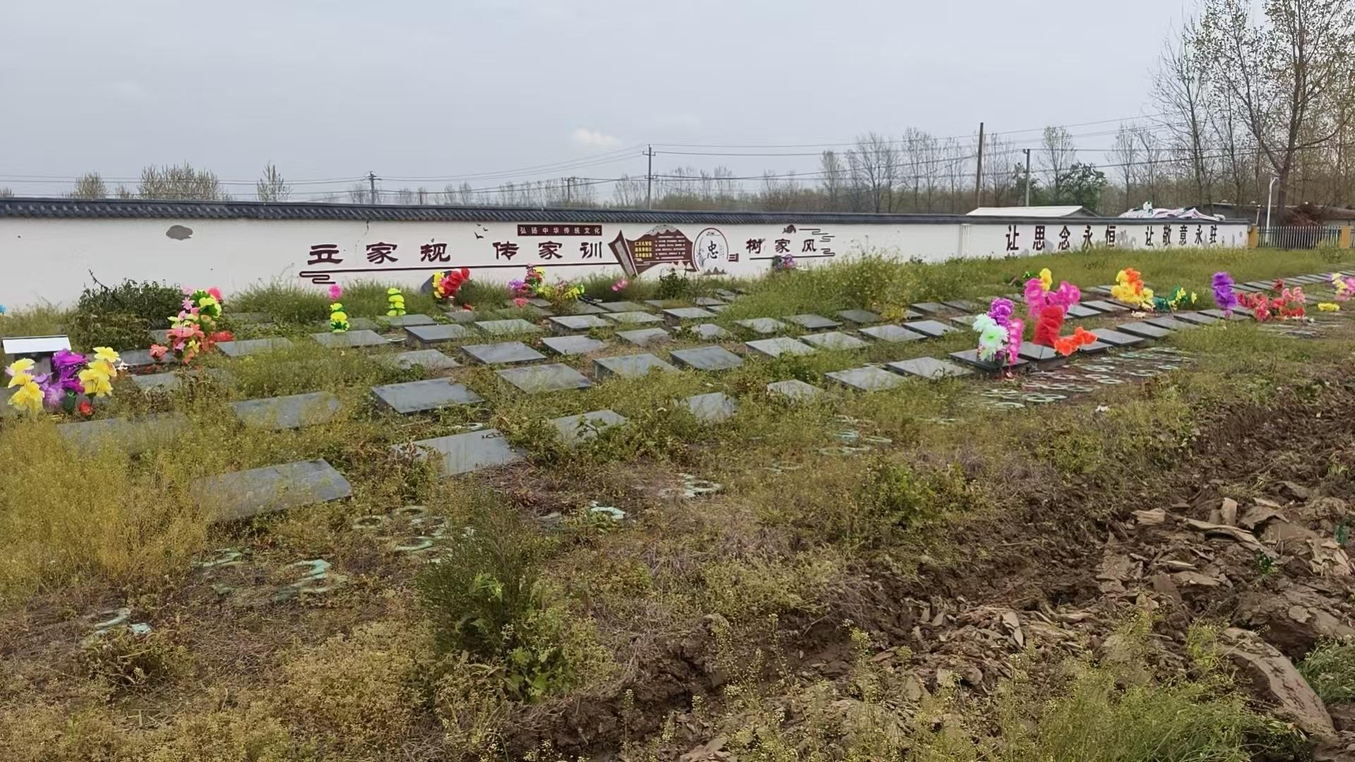 钟祥市旧口镇凤凰林公墓园区图片