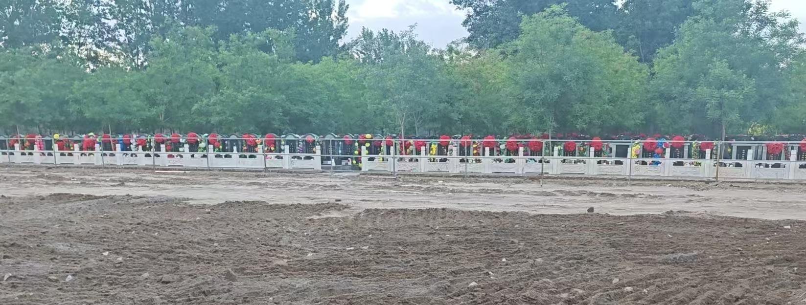 武清区王庆坨镇公益性公墓园区图片