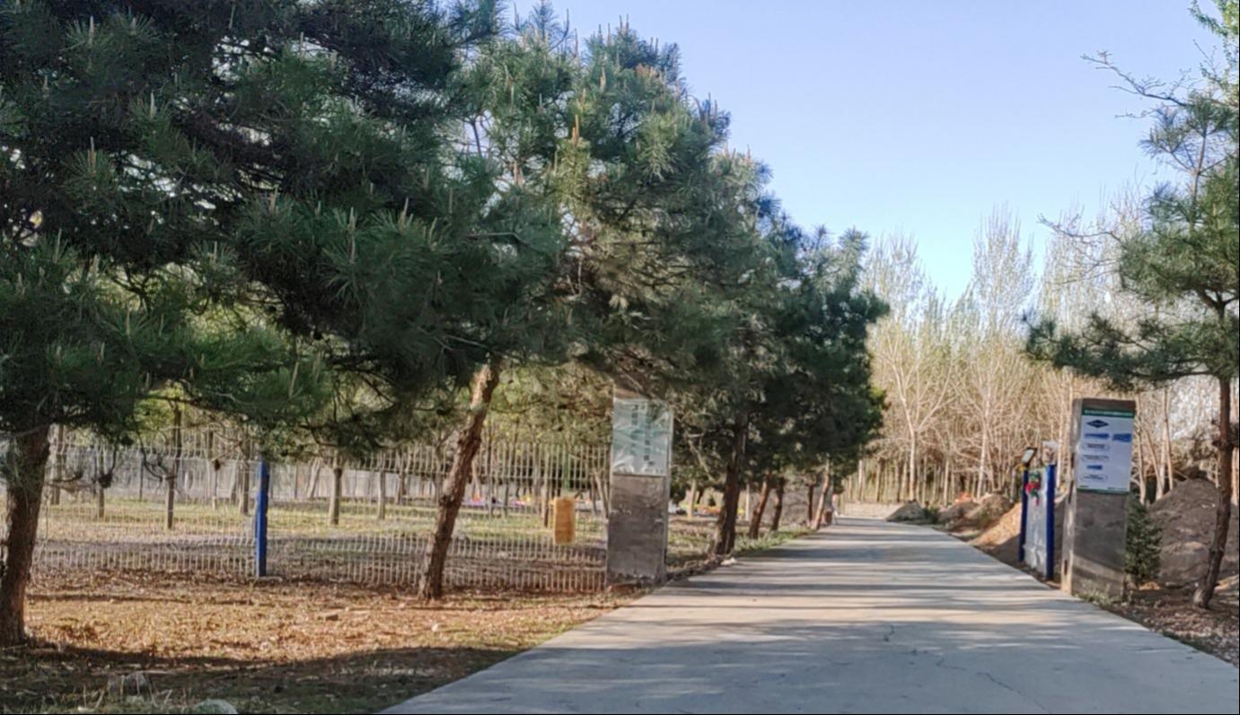 北京市顺义区木林镇前王各庄村公益性公墓园区图片