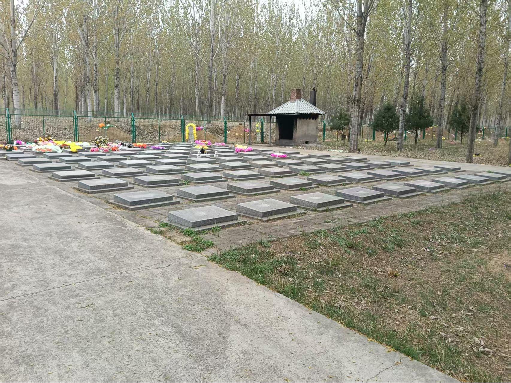 南坞村公益性墓地园区图片