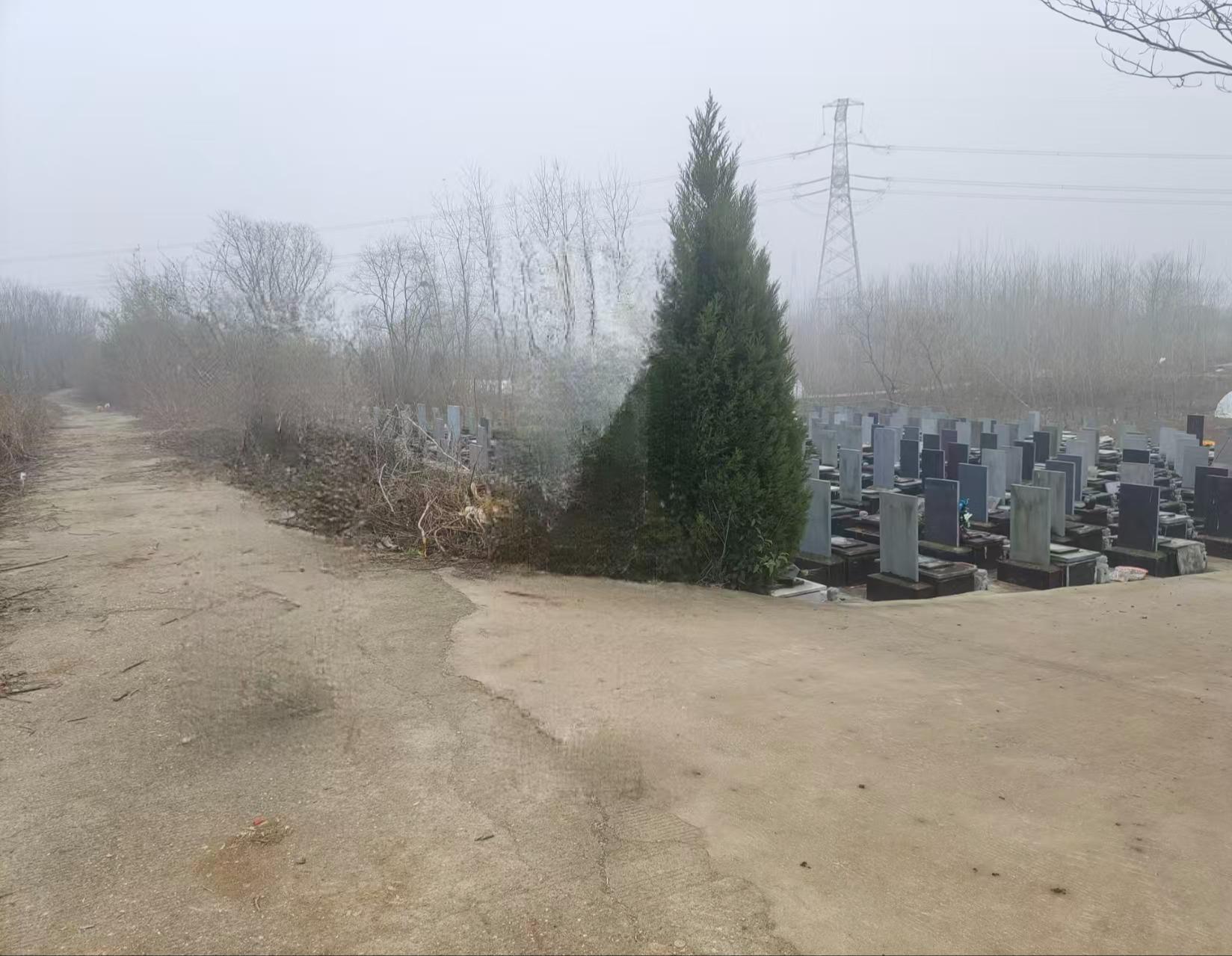 滁州市全椒县六镇镇白酒村华兴公益性公墓园区图片