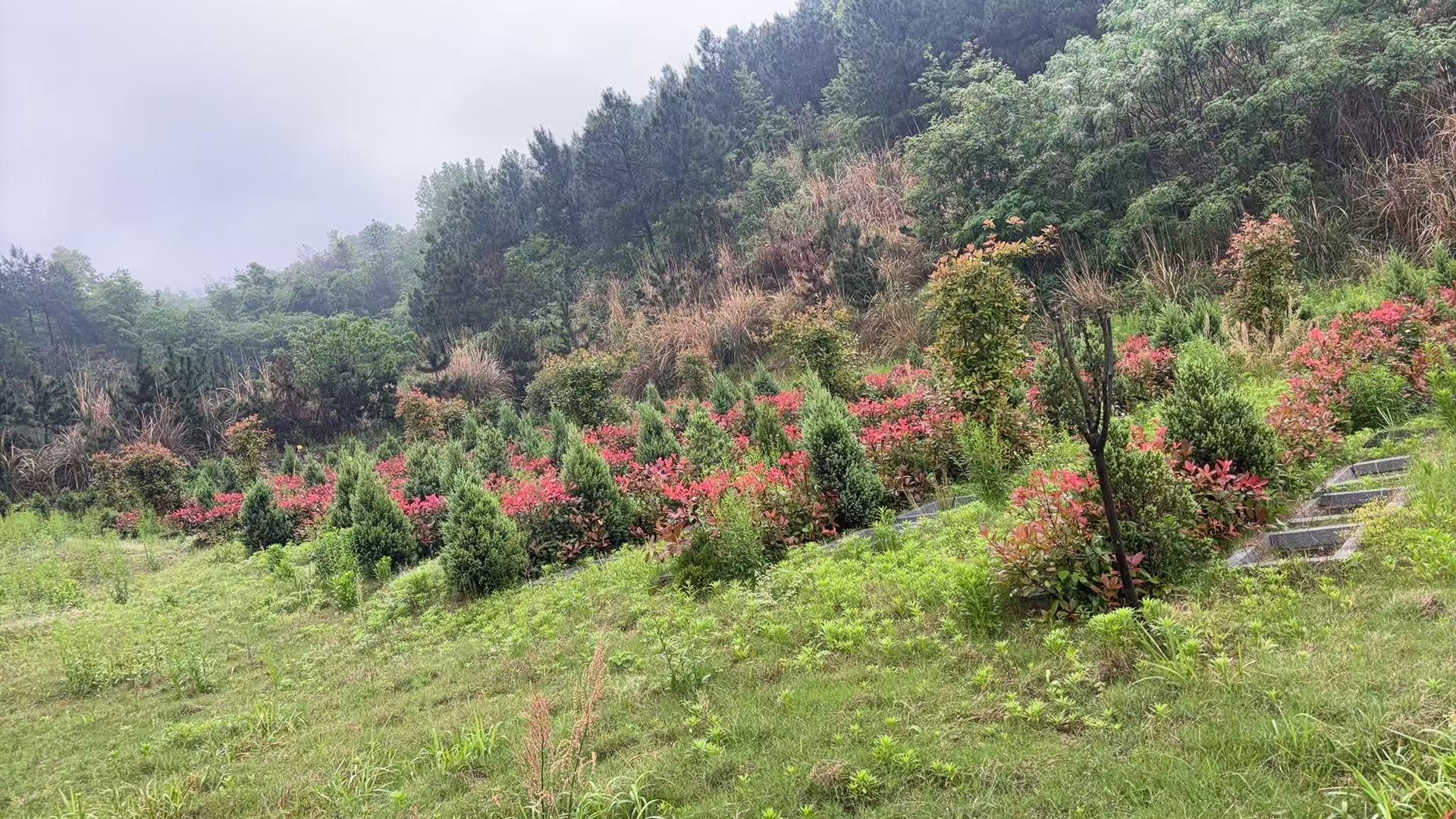 汪岗镇梅山新村公益性公墓