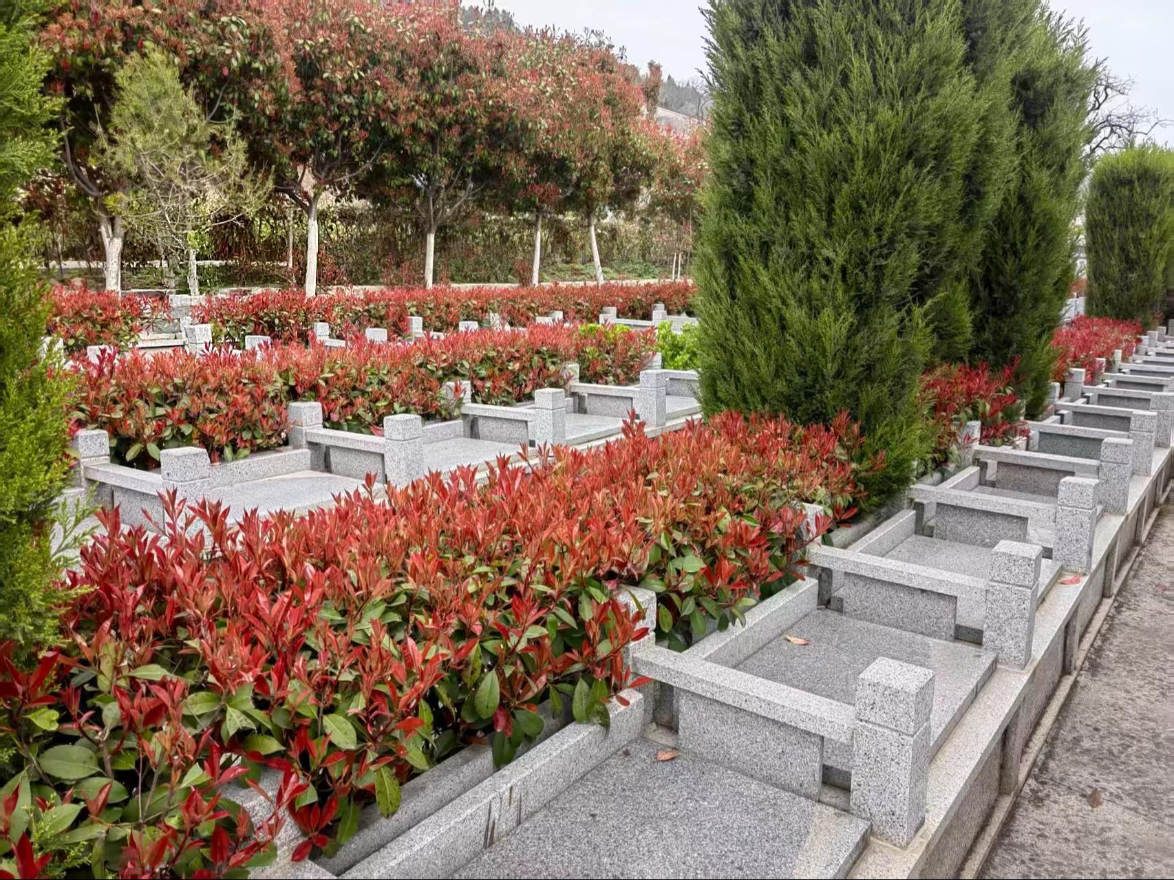 顺河镇公益性公墓园区图片