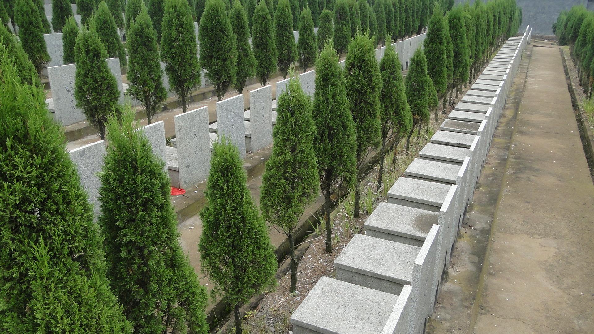 东阳市西甑山公墓园区图片