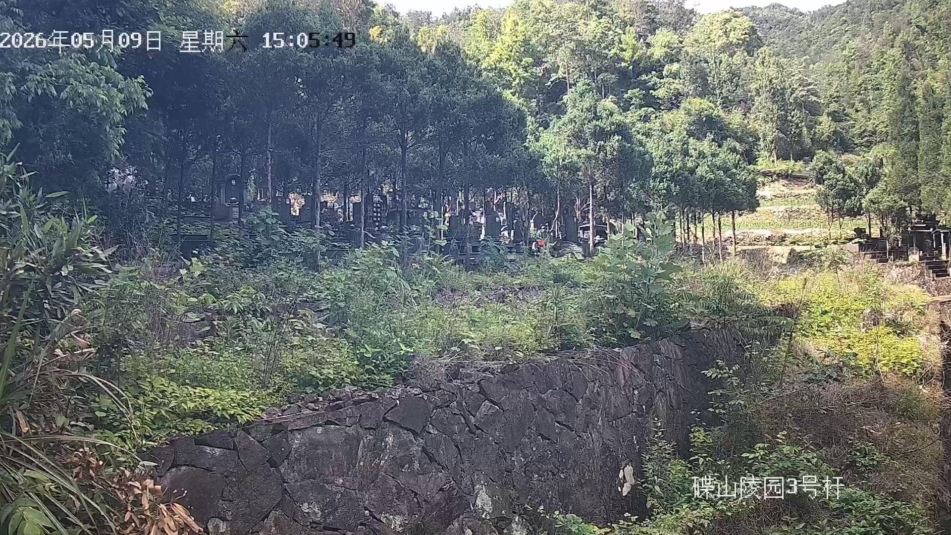磐安县蝶山陵园园区图片