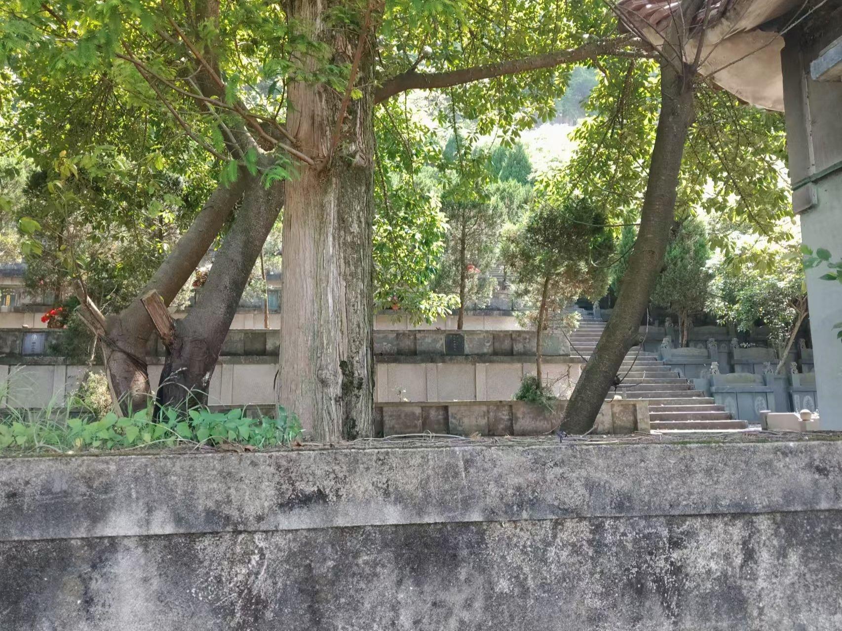 麻步镇鳌峰公益性墓地园区图片