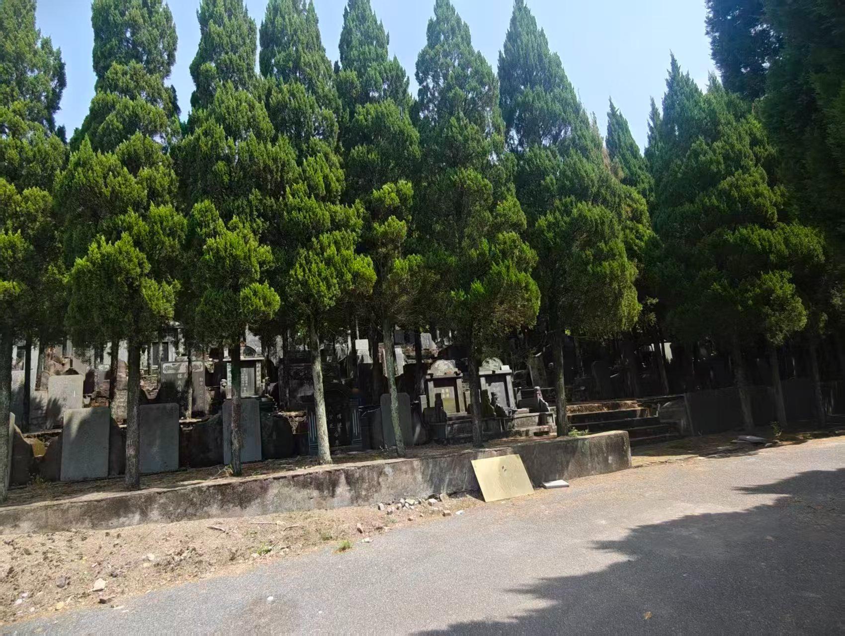 义乌市上溪镇安山陵园园区图片
