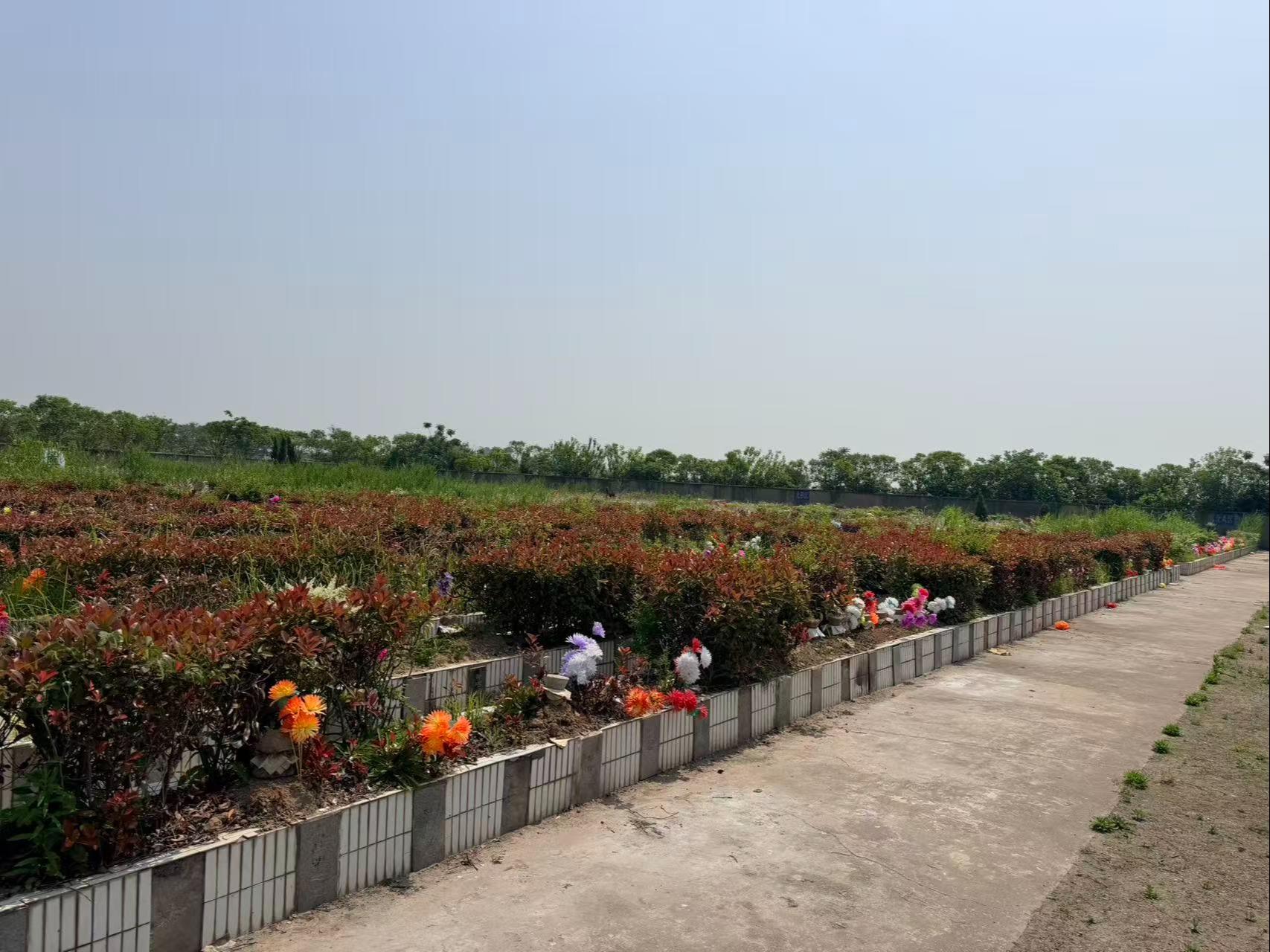 双山埋葬地园区图片