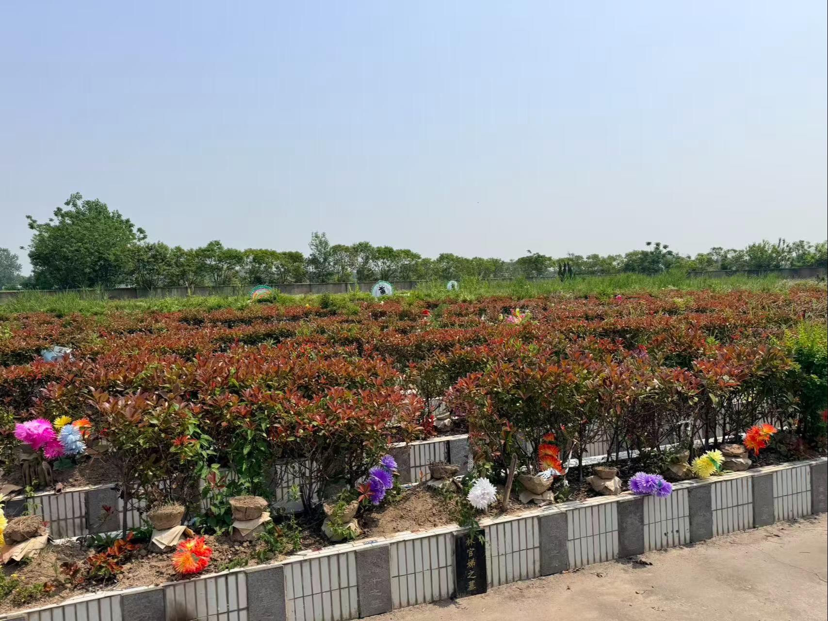 双山埋葬地园区图片