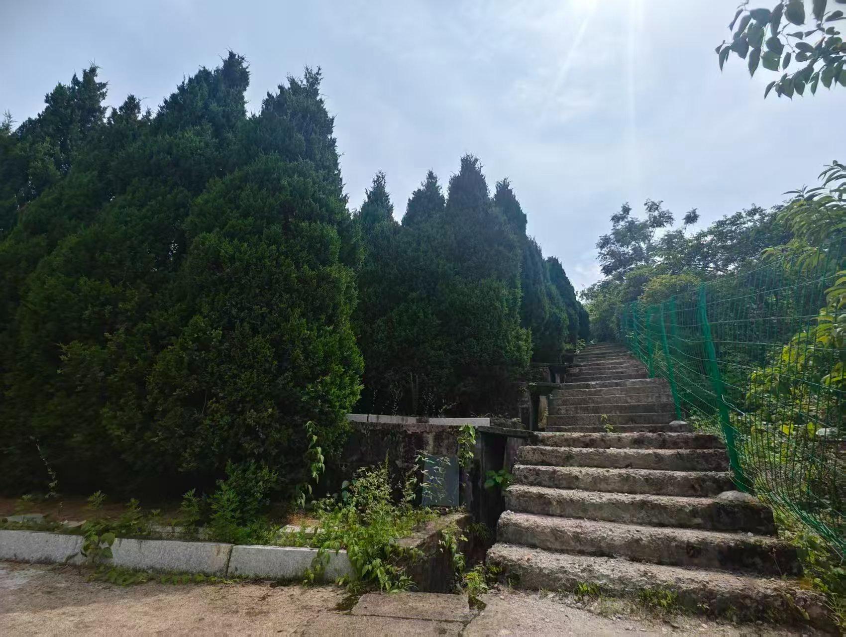义乌市上溪镇罗汉山公园园区图片
