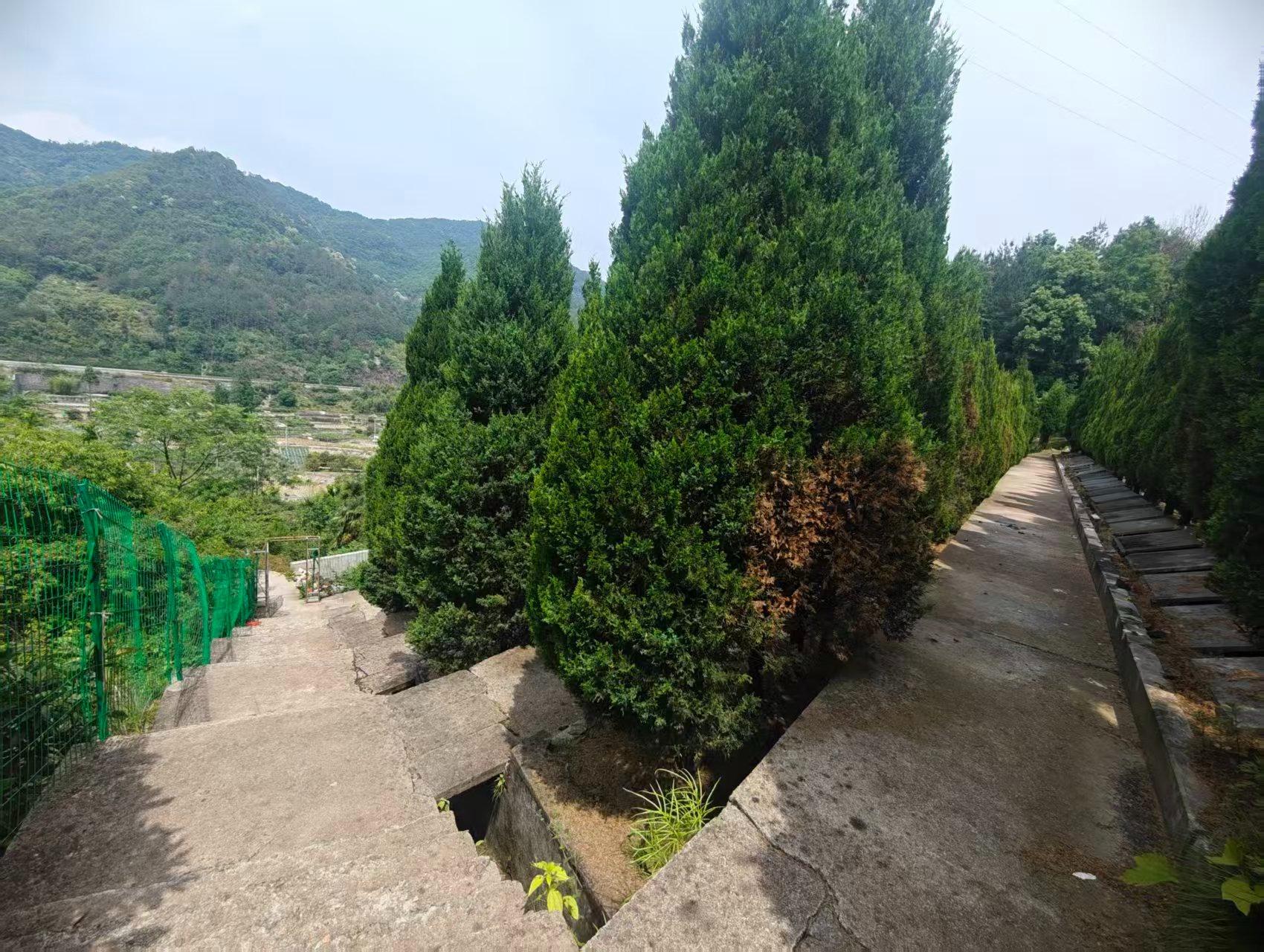 义乌市上溪镇罗汉山公园园区图片