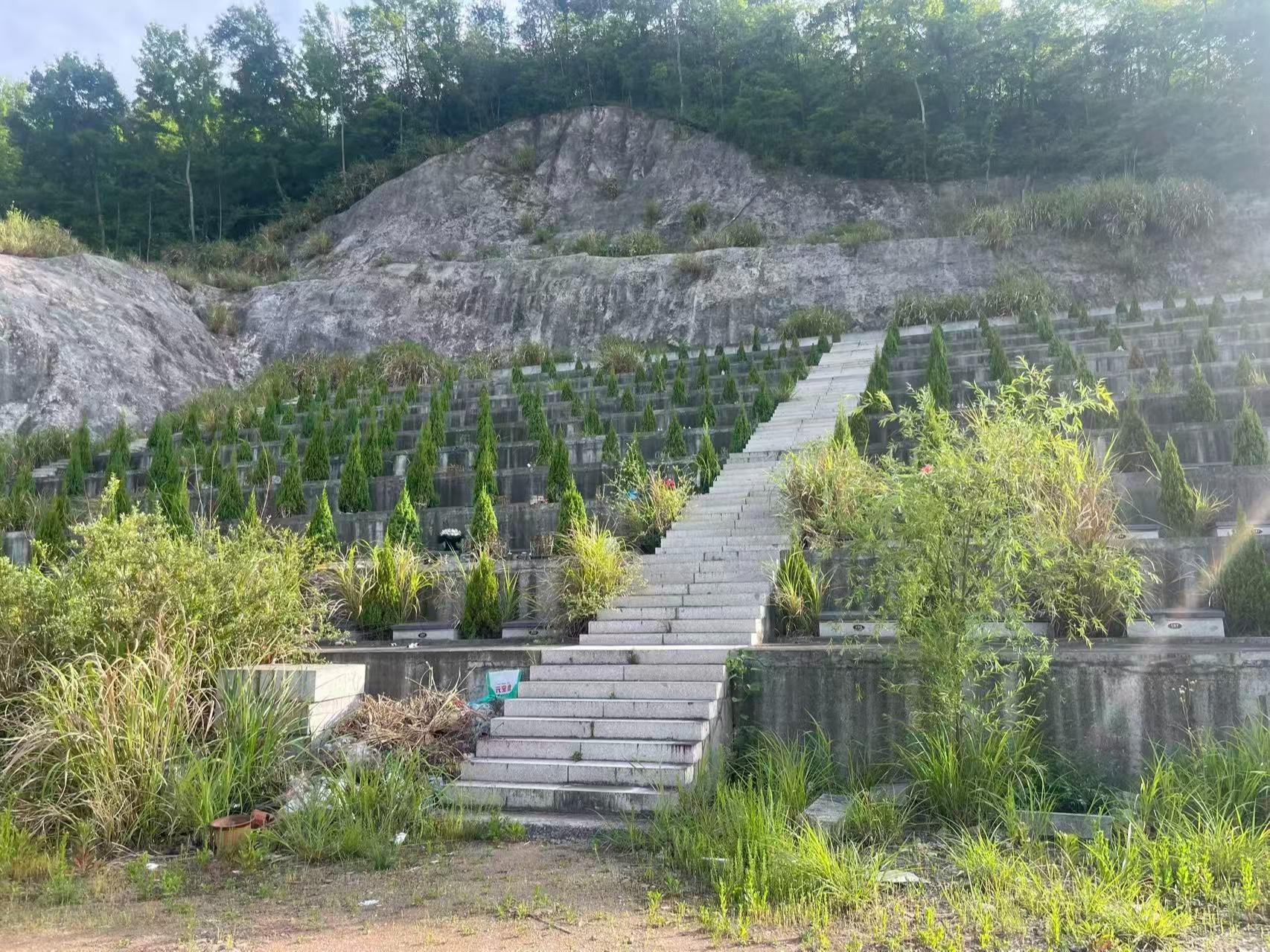 东阳市湖溪镇镇级公墓(一)园区图片