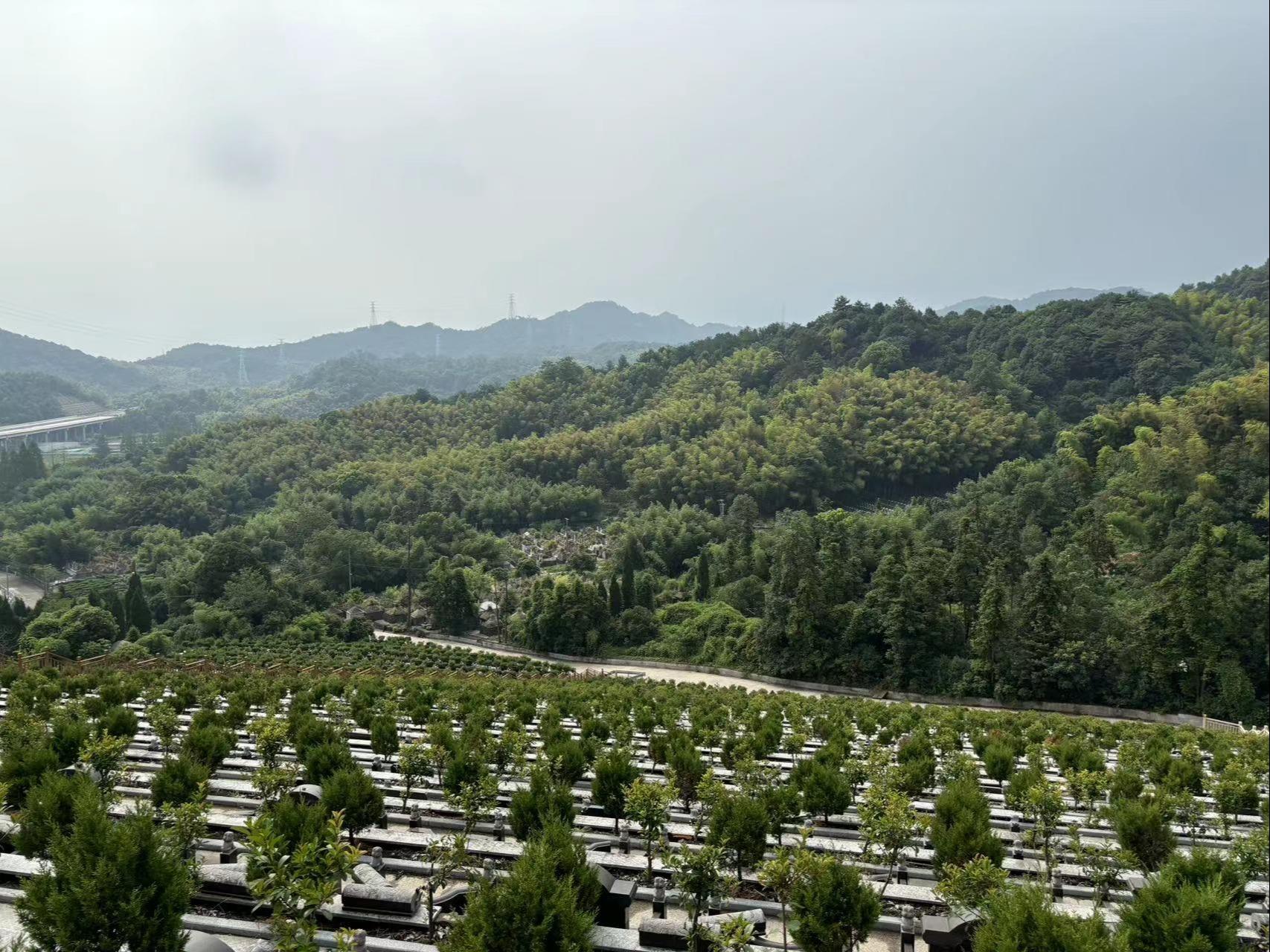 绍兴市柯桥区钱清街道福寿园公墓园区图片