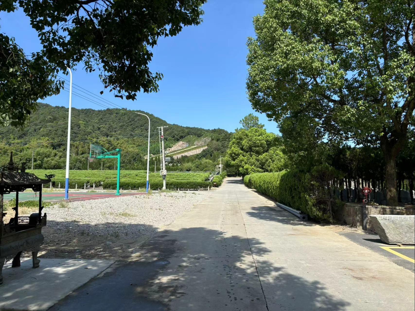绍兴市柯桥区钱清街道福寿园公墓园区图片