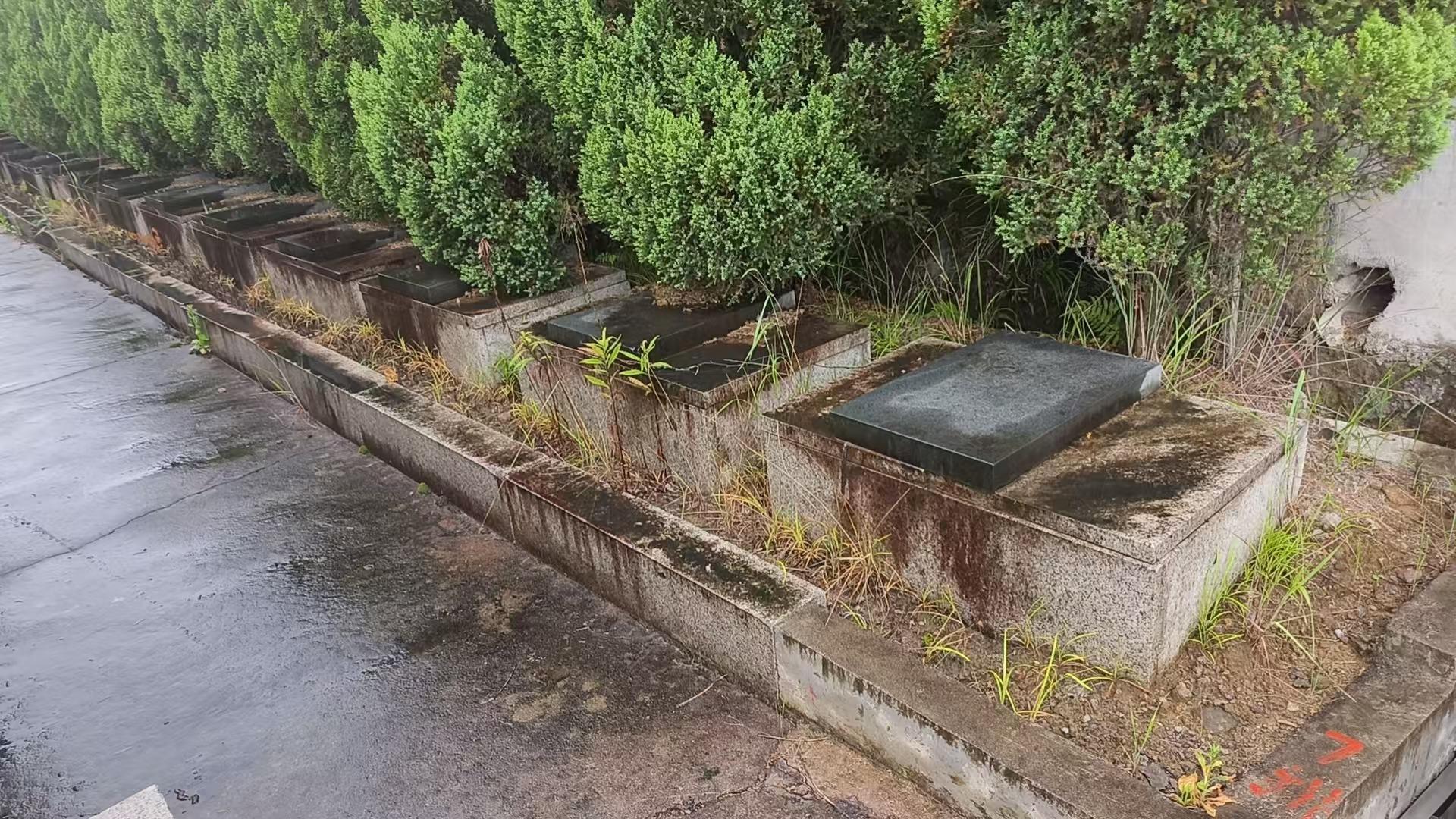 义乌市江东街道伏虎山永安陵园园区图片