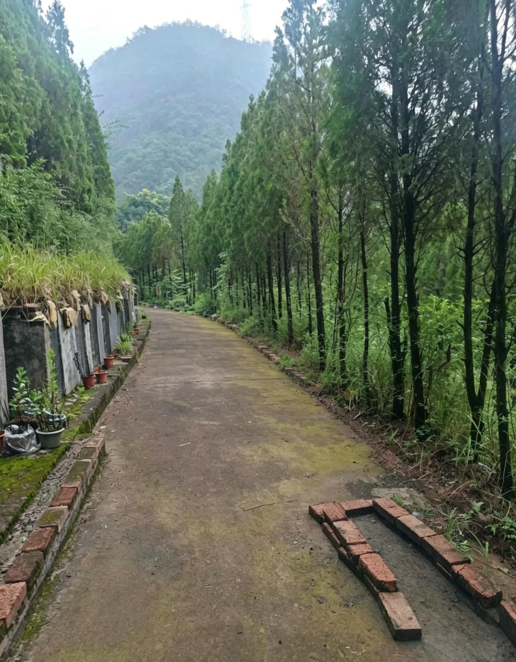 义乌市九龙山陵园园区图片
