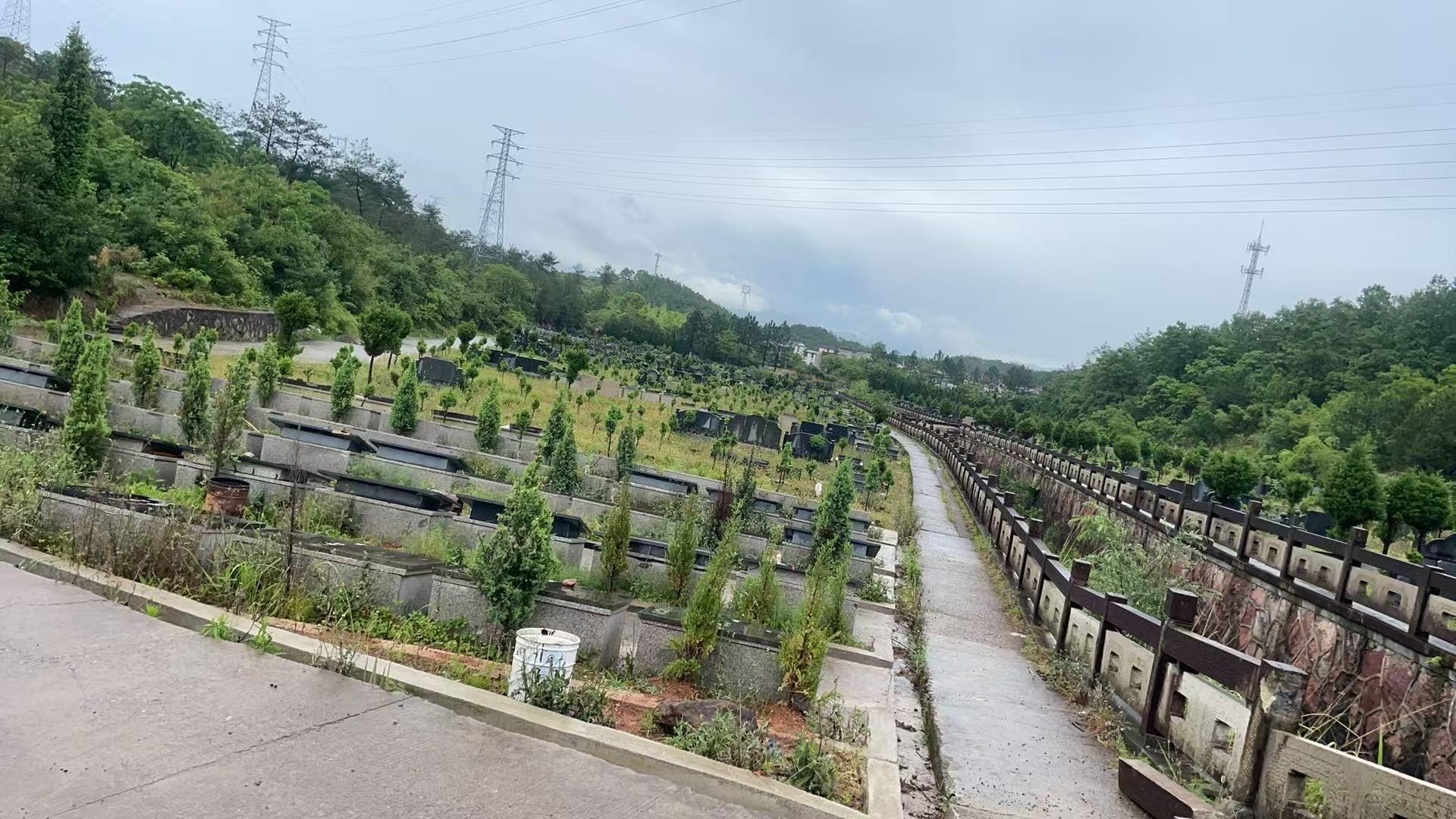 东阳市六石街道北山公墓园区图片