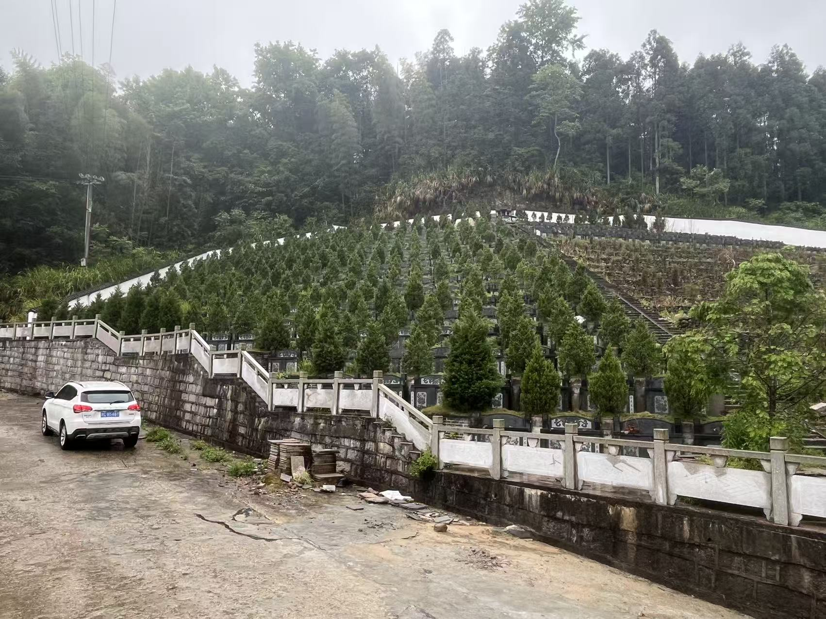 平阳县顺溪镇杨光村生态节地葬区