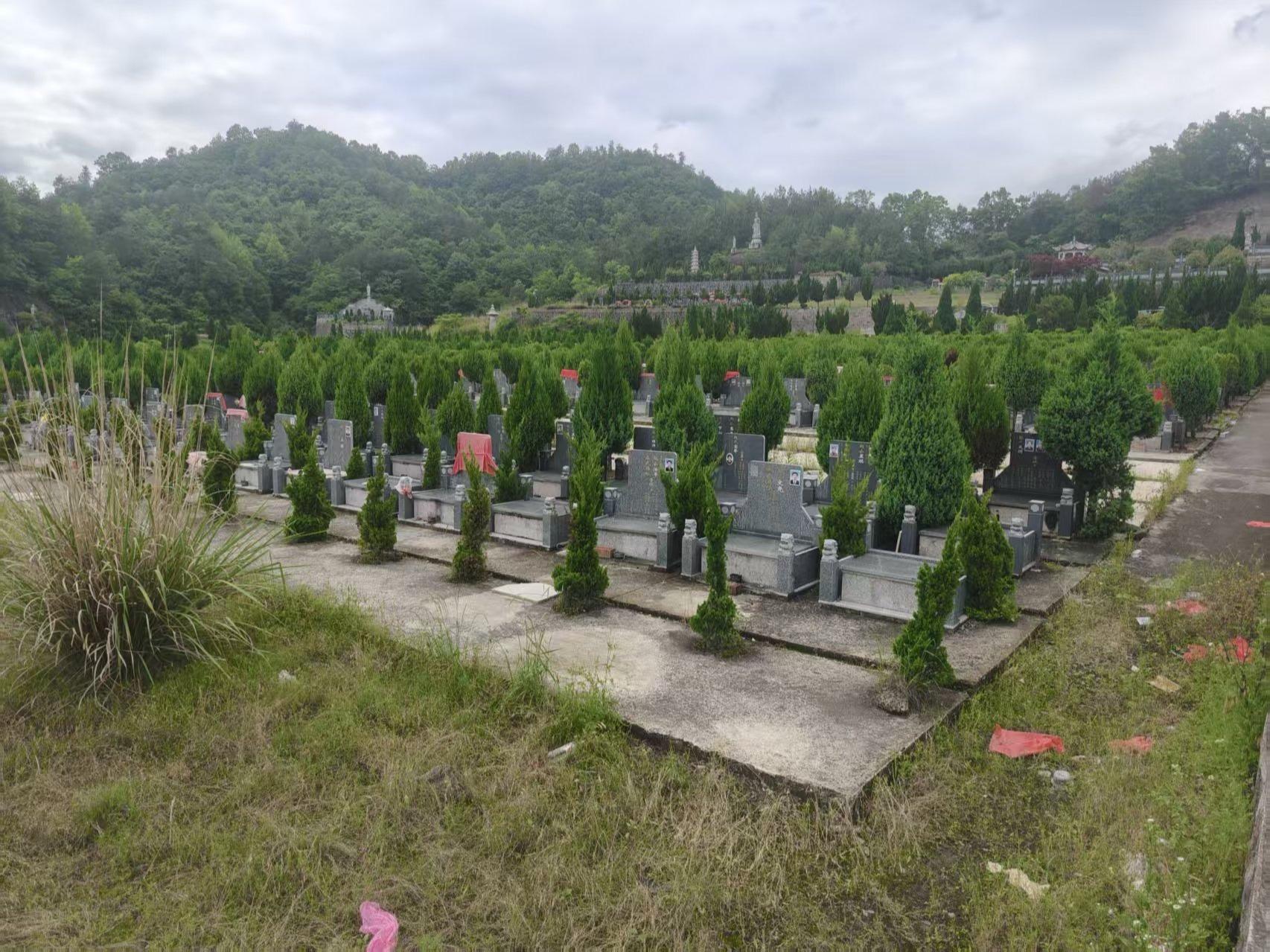 东阳市巍山镇第一公墓园区图片