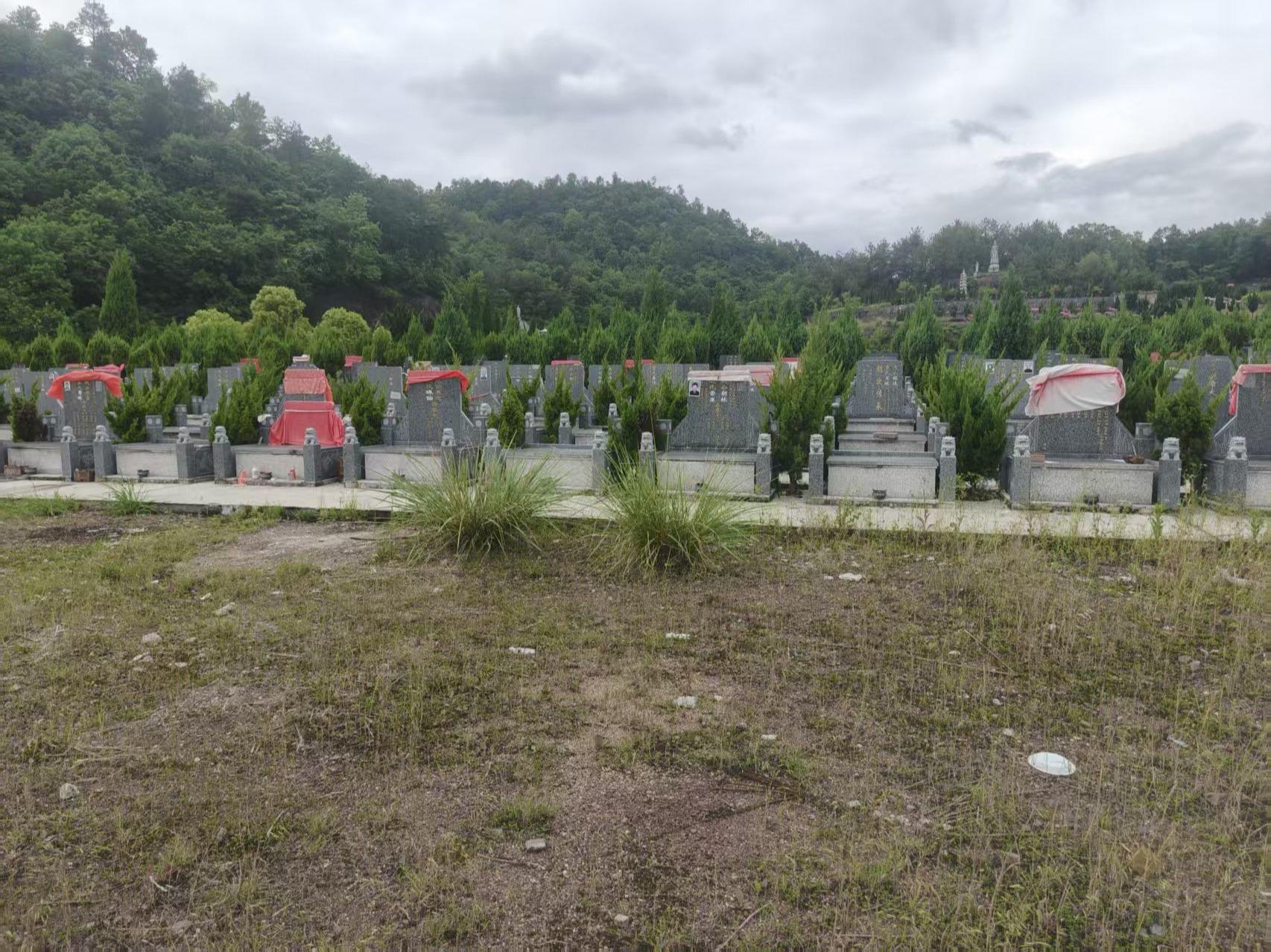 东阳市巍山镇第一公墓园区图片