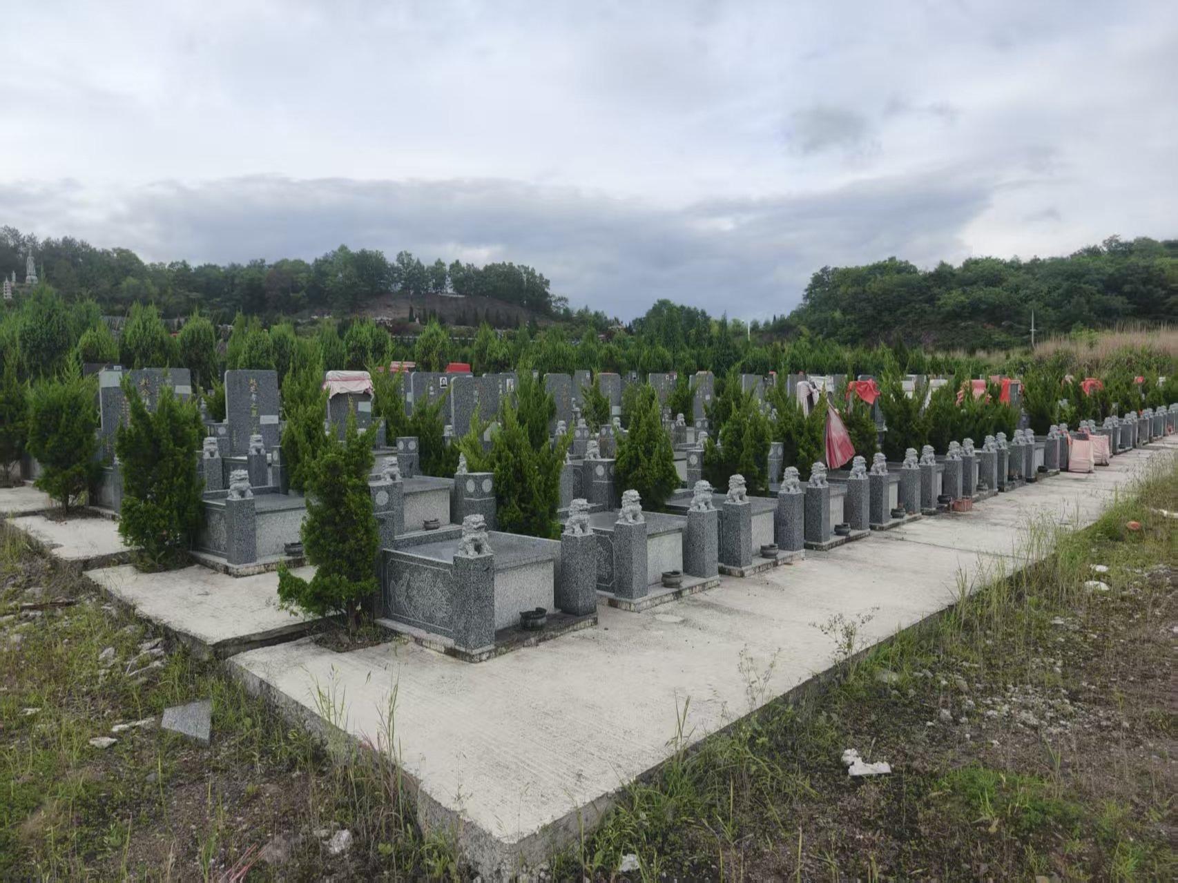 东阳市巍山镇第一公墓园区图片