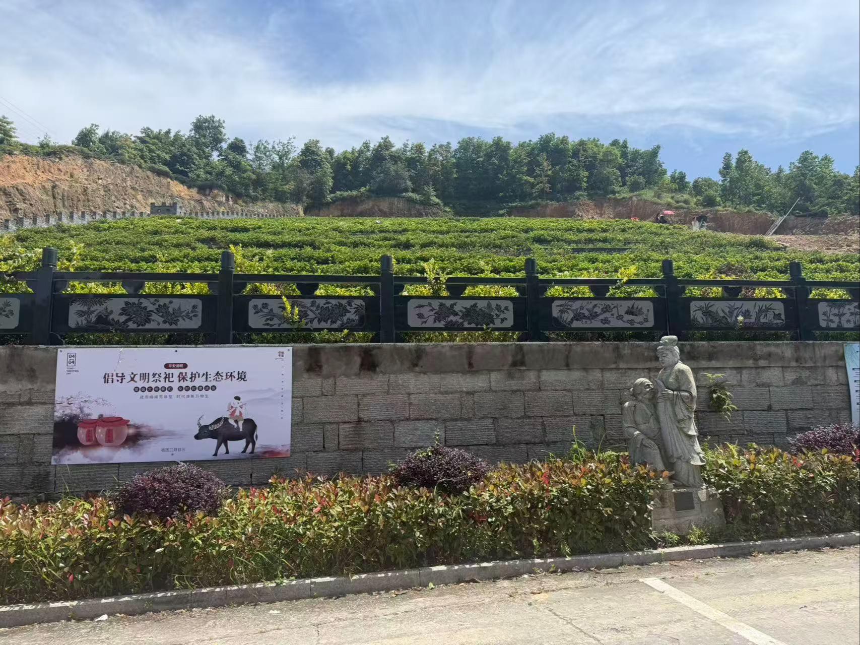 乐清市柳市镇大安山陵园园区图片