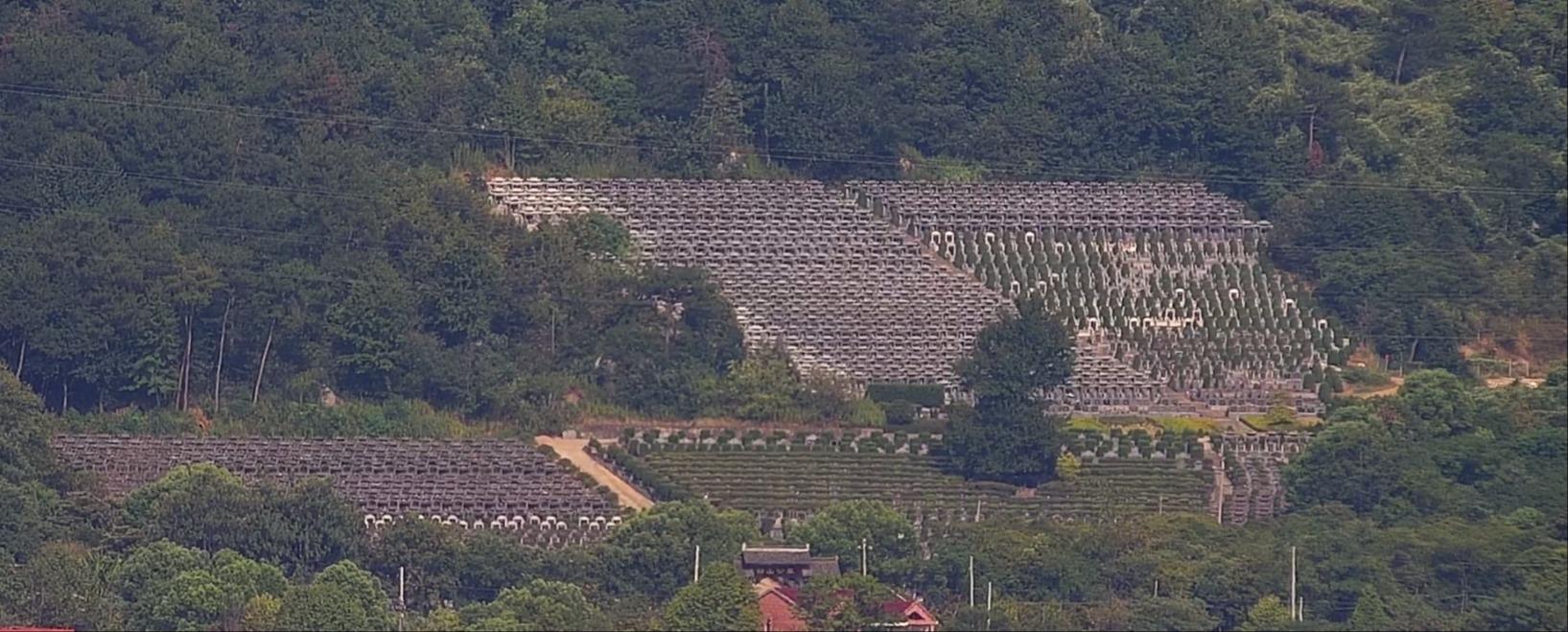 三江街道静山公墓园区图片