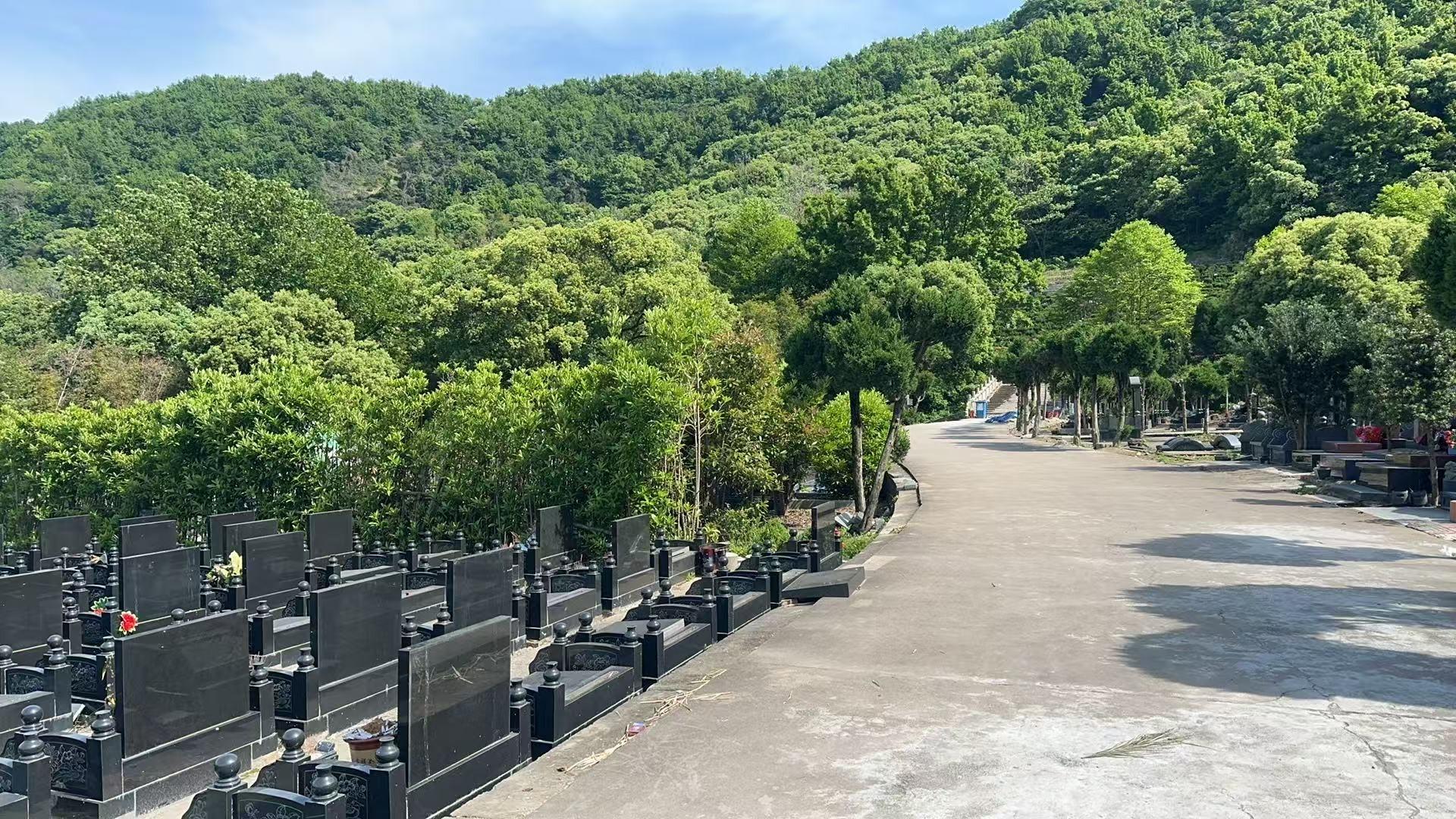 温岭市箬横镇鲤龙山墓地园区图片