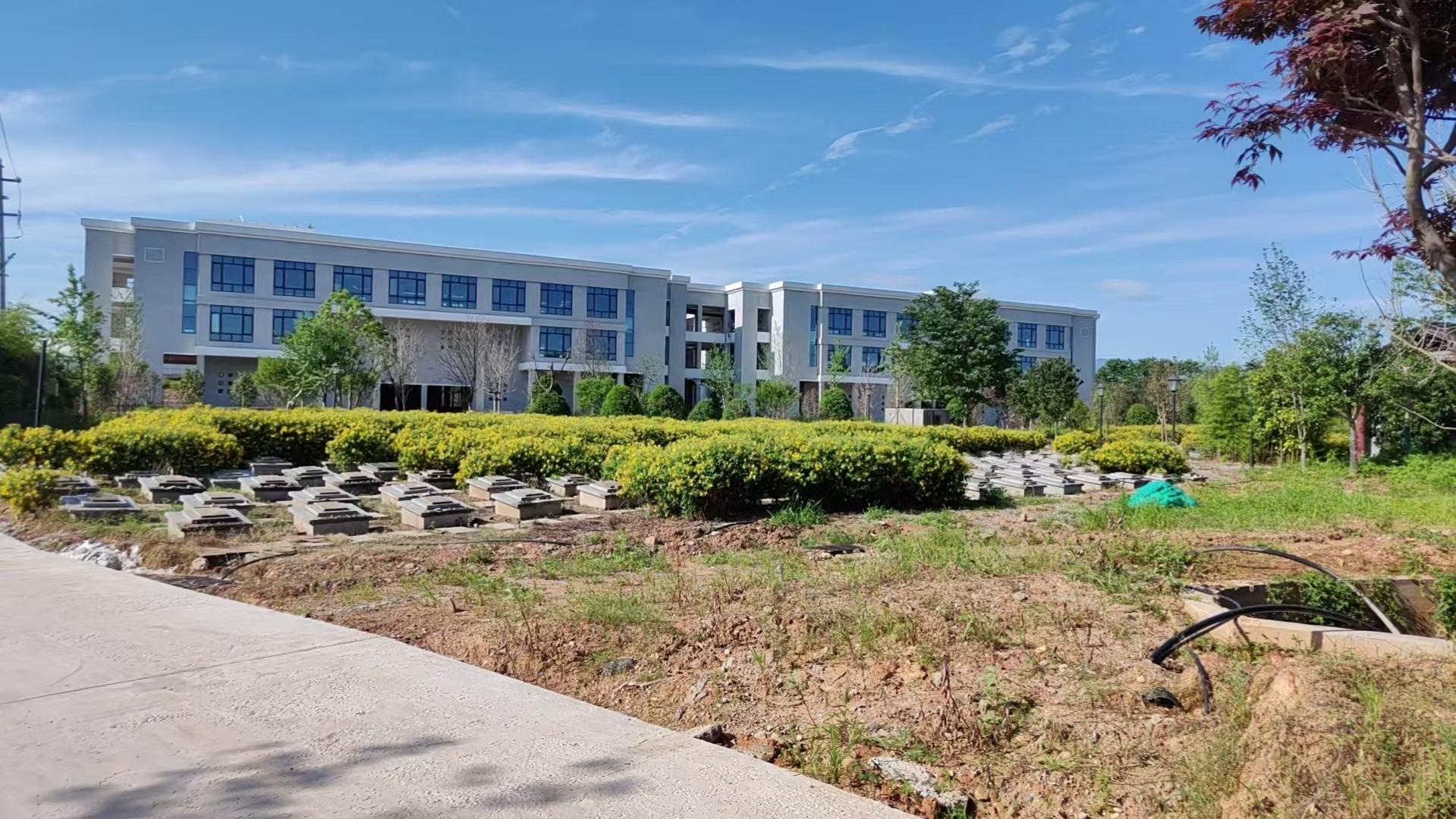 金华市婺城区白龙桥镇天河公墓园区图片