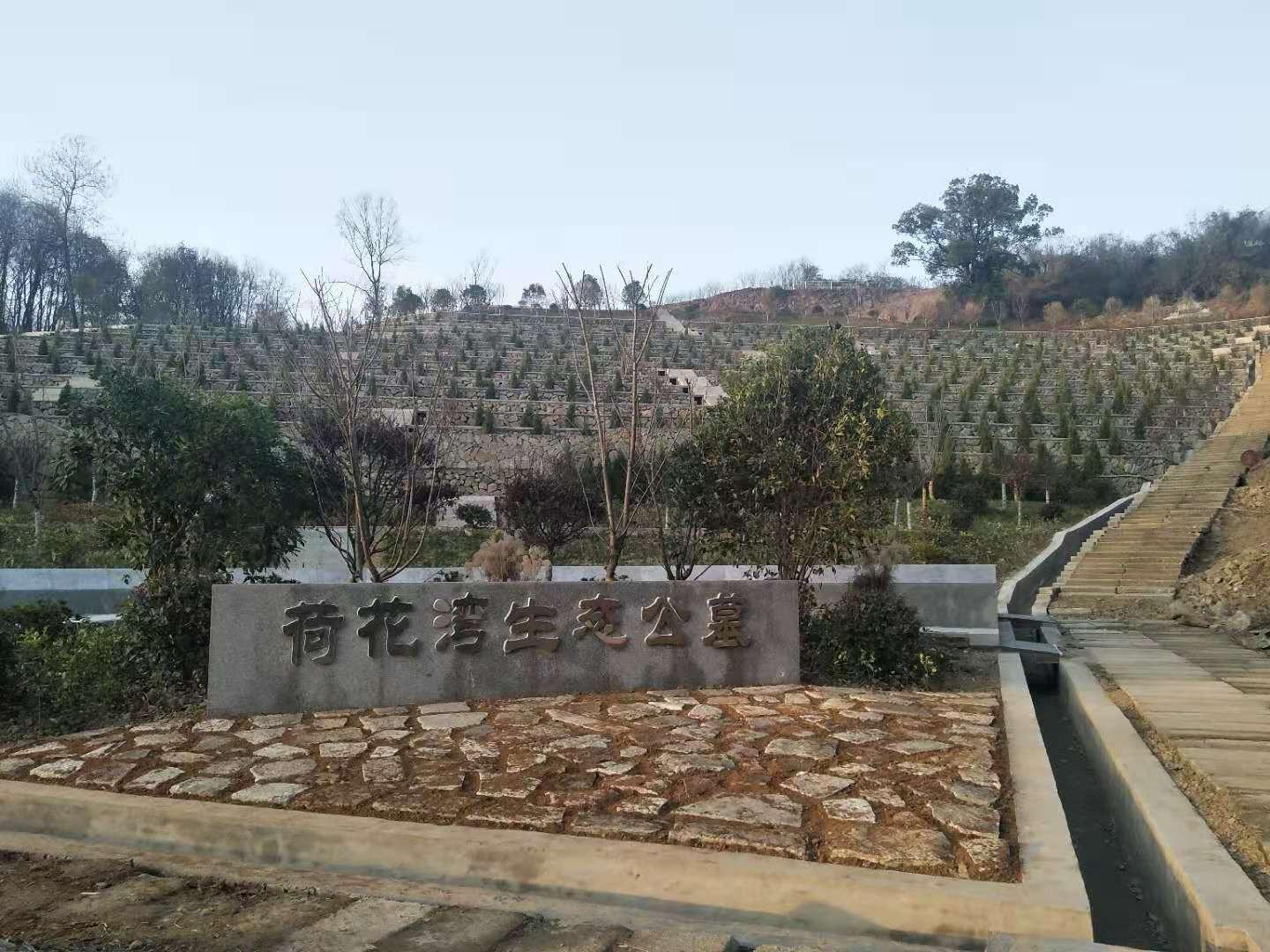 荷花湾公墓园区图片