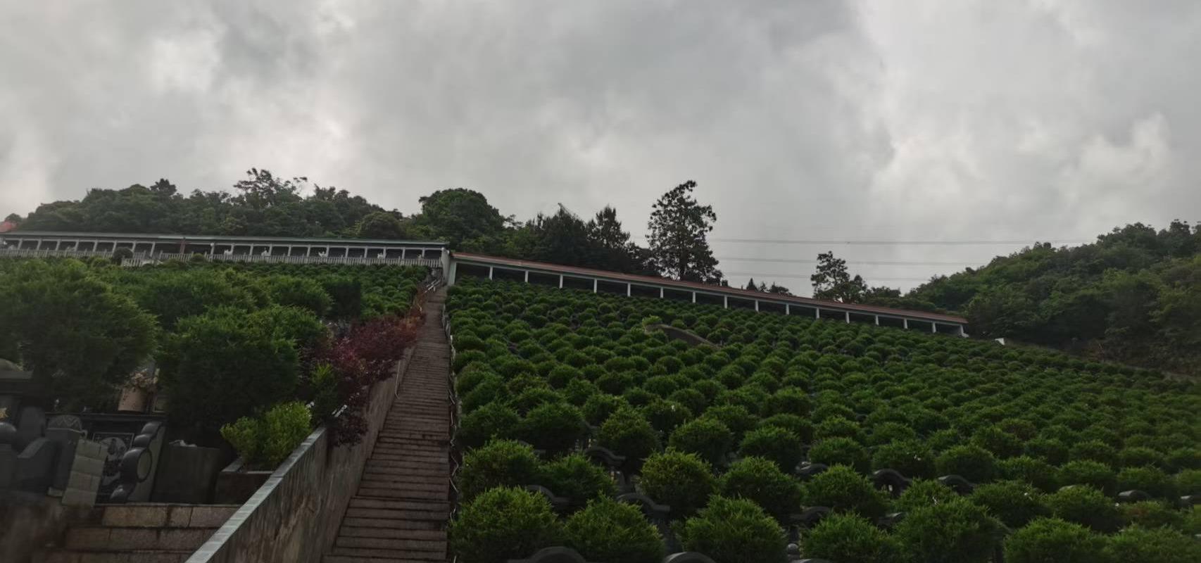 状元山西岙村大罗山生态墓地园区图片