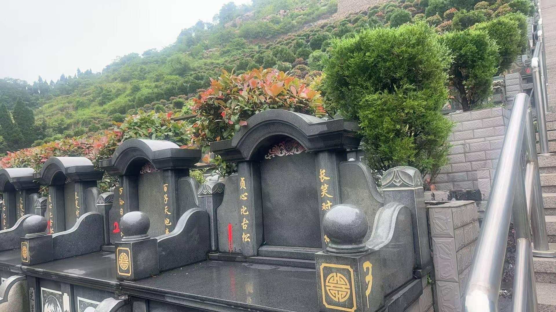 度山安乐陵园园区图片