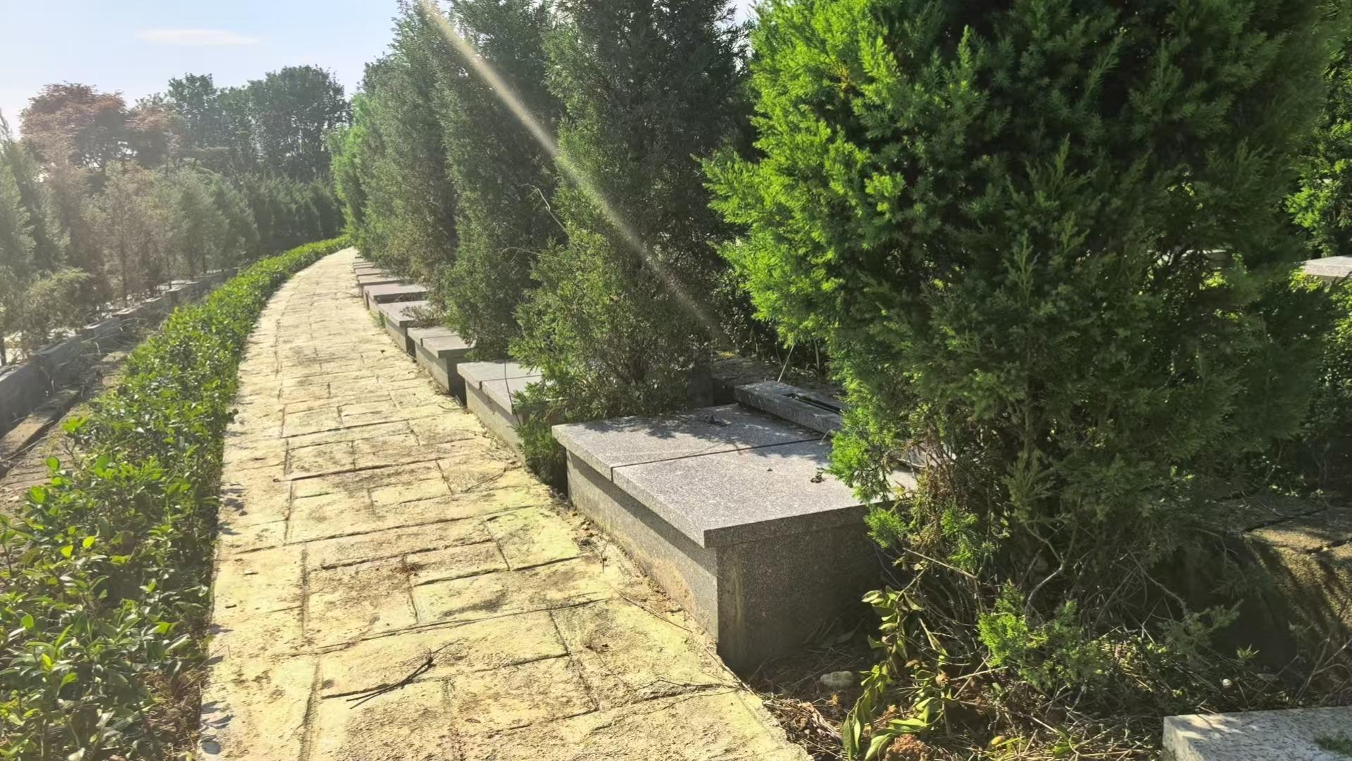 金华市婺城区汤溪镇汤溪生态公墓(仓里公墓)园区图片