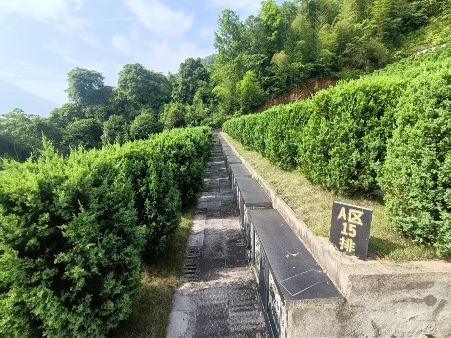 平阳县水头镇龙涵村生态节地葬区园区图片