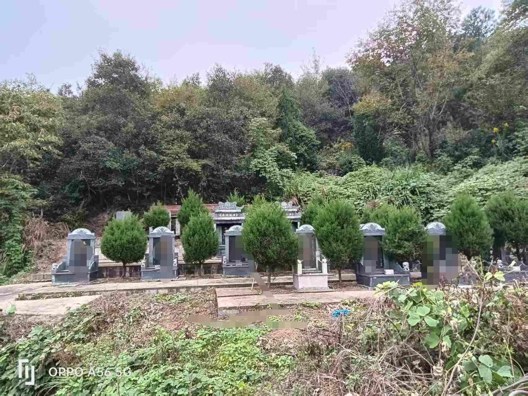 下王镇荷花岗头公墓园区图片