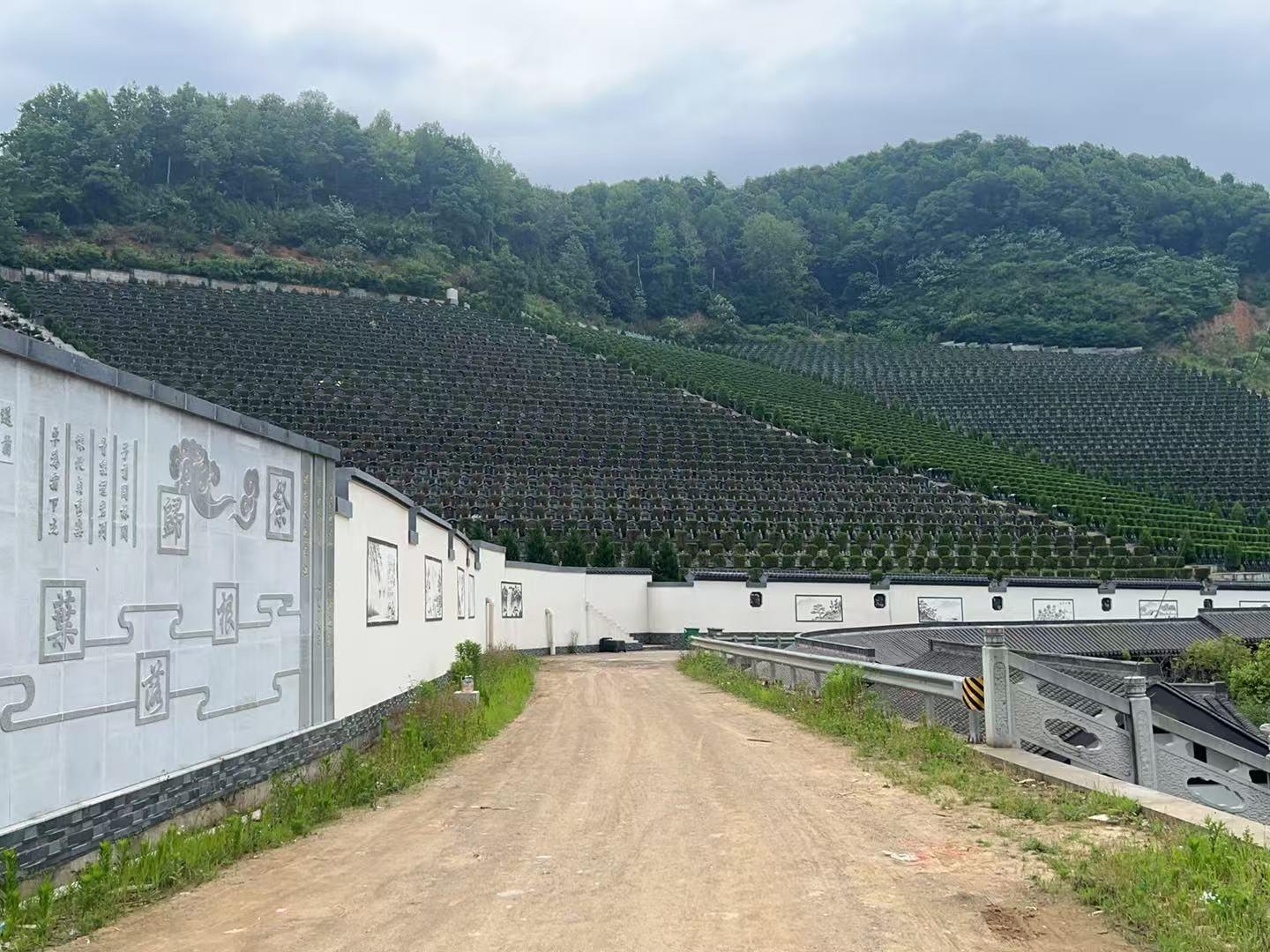 平水镇王龙山公墓园区图片