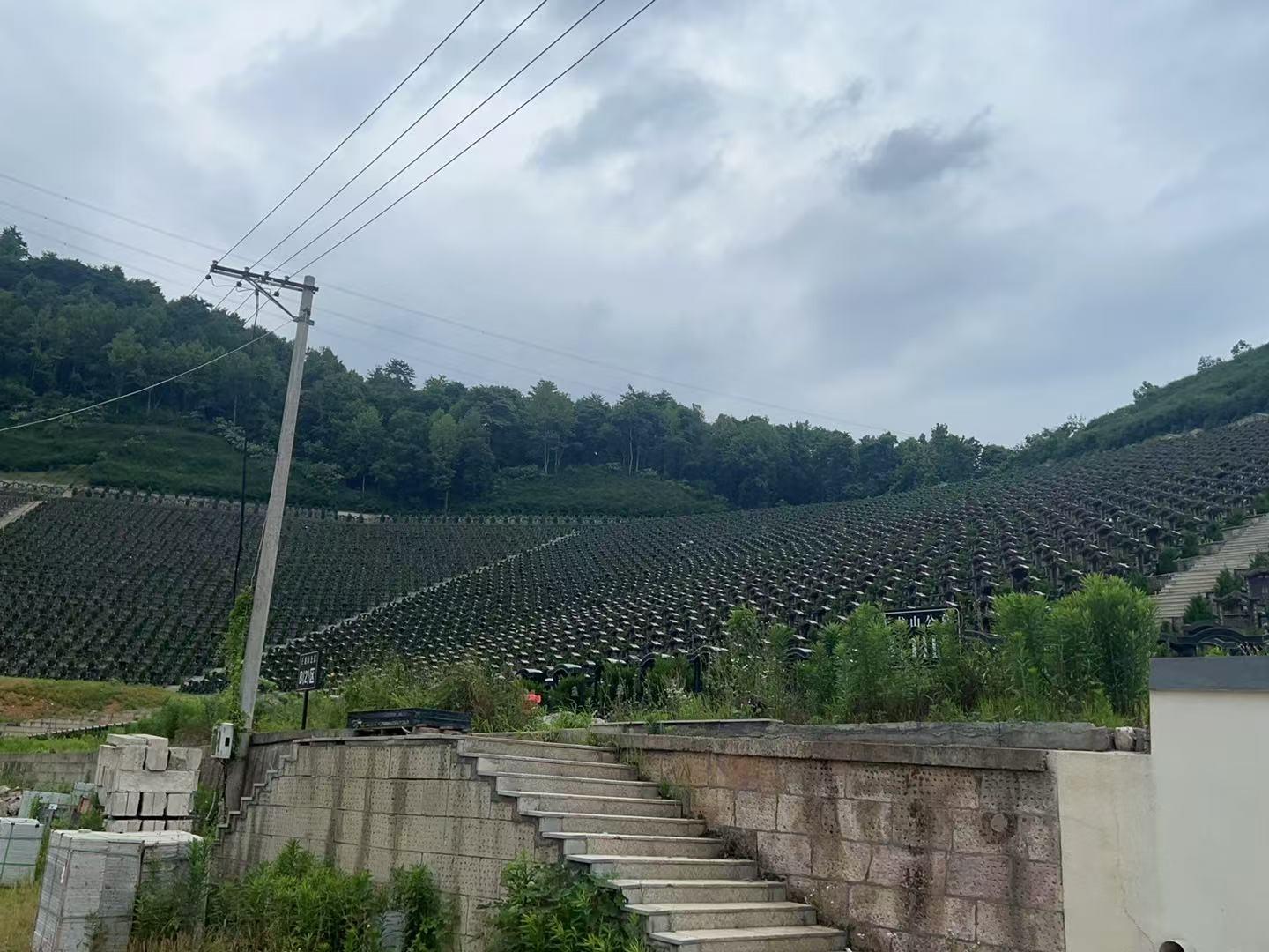 平水镇王龙山公墓园区图片