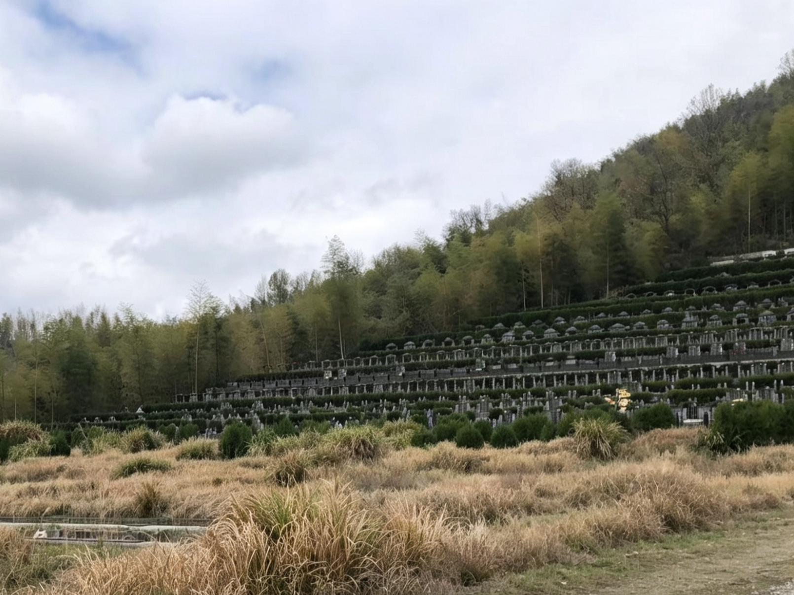 平水镇金山公墓园区图片
