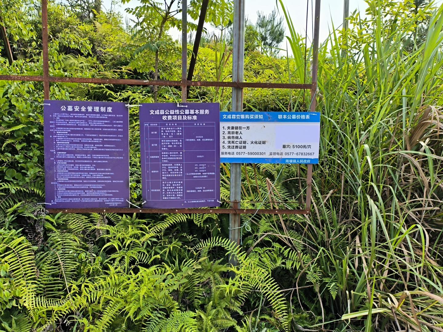 周壤镇公益性节地生态墓地园区图片