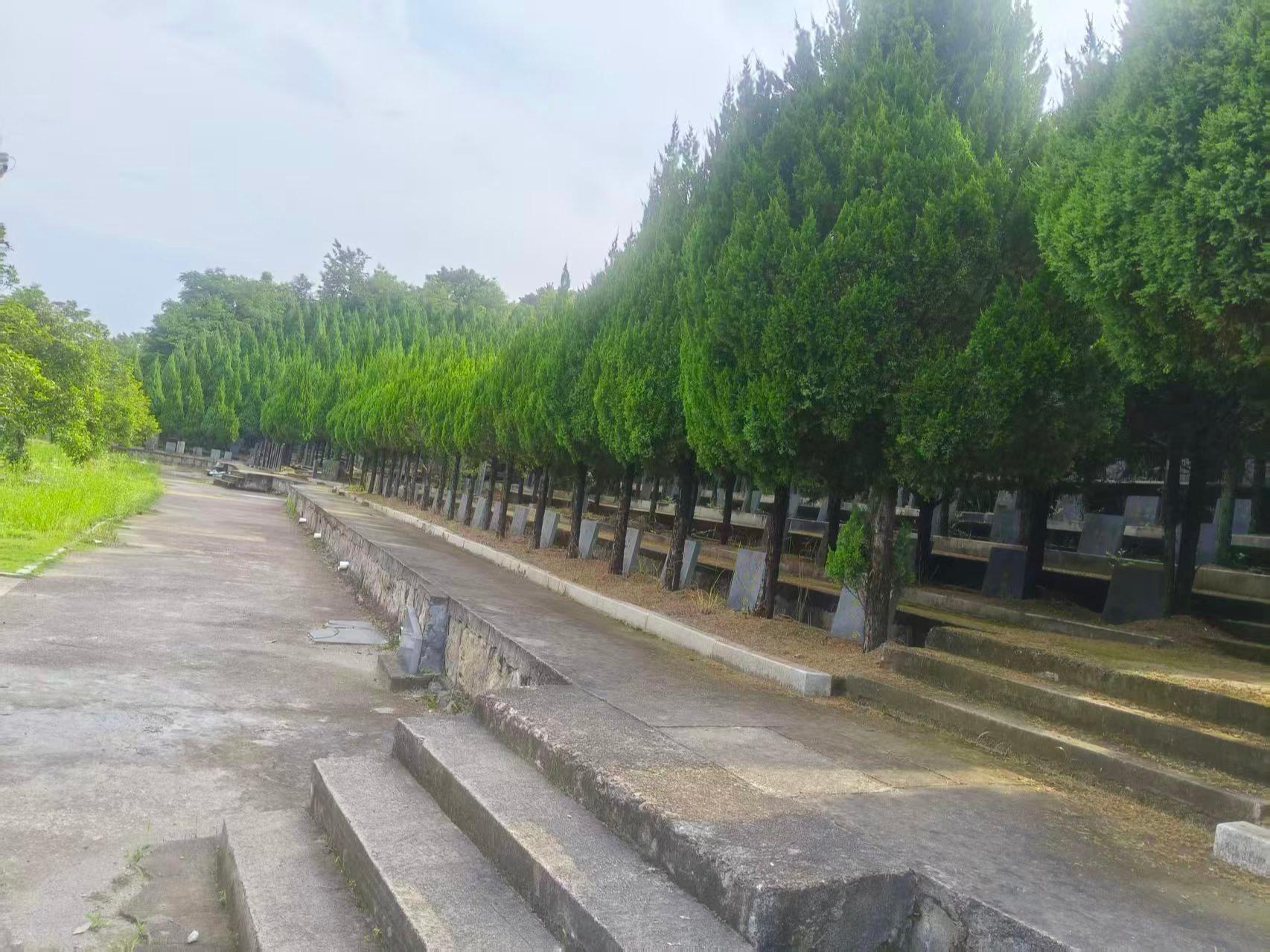 义乌市赤岸镇黄介山公墓园区图片