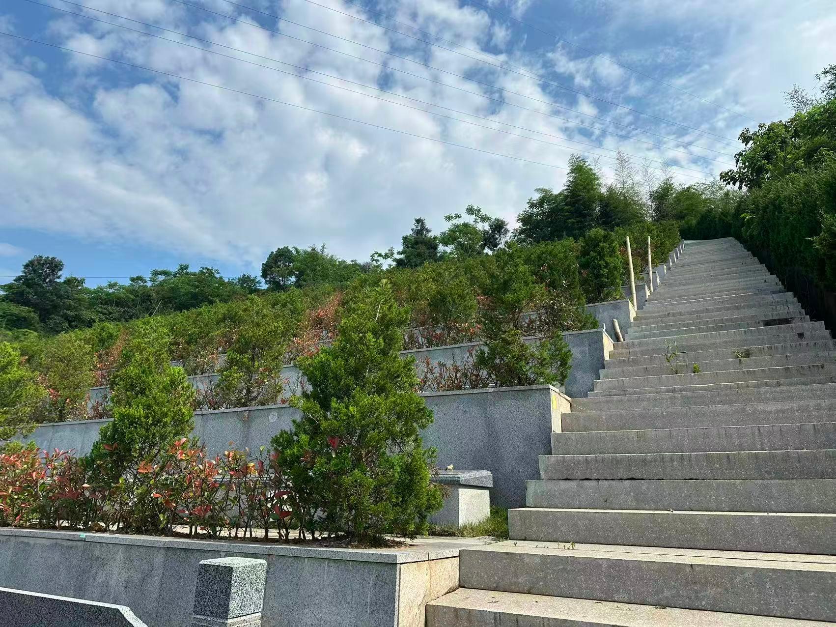 平阳县水头镇内岙村生态节地葬区园区图片