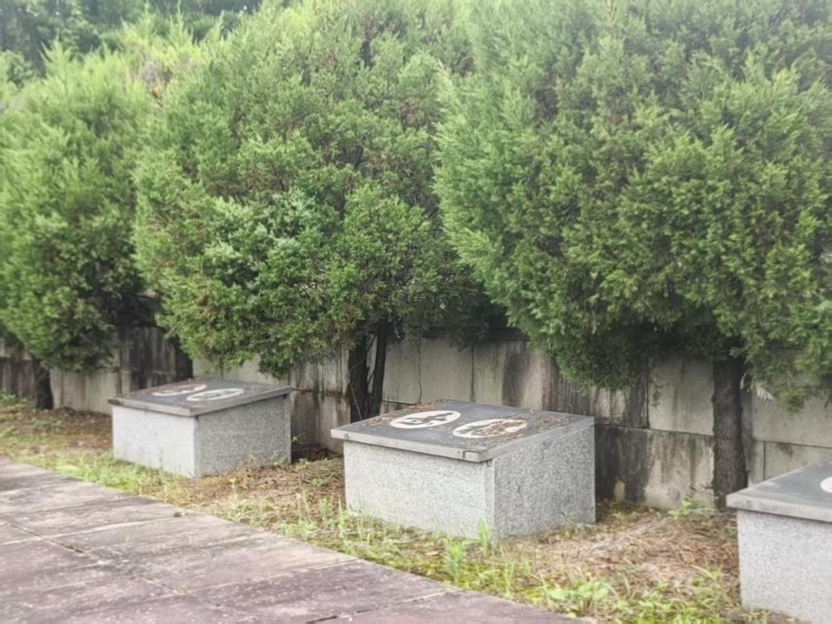 同山镇镇级公墓园区图片