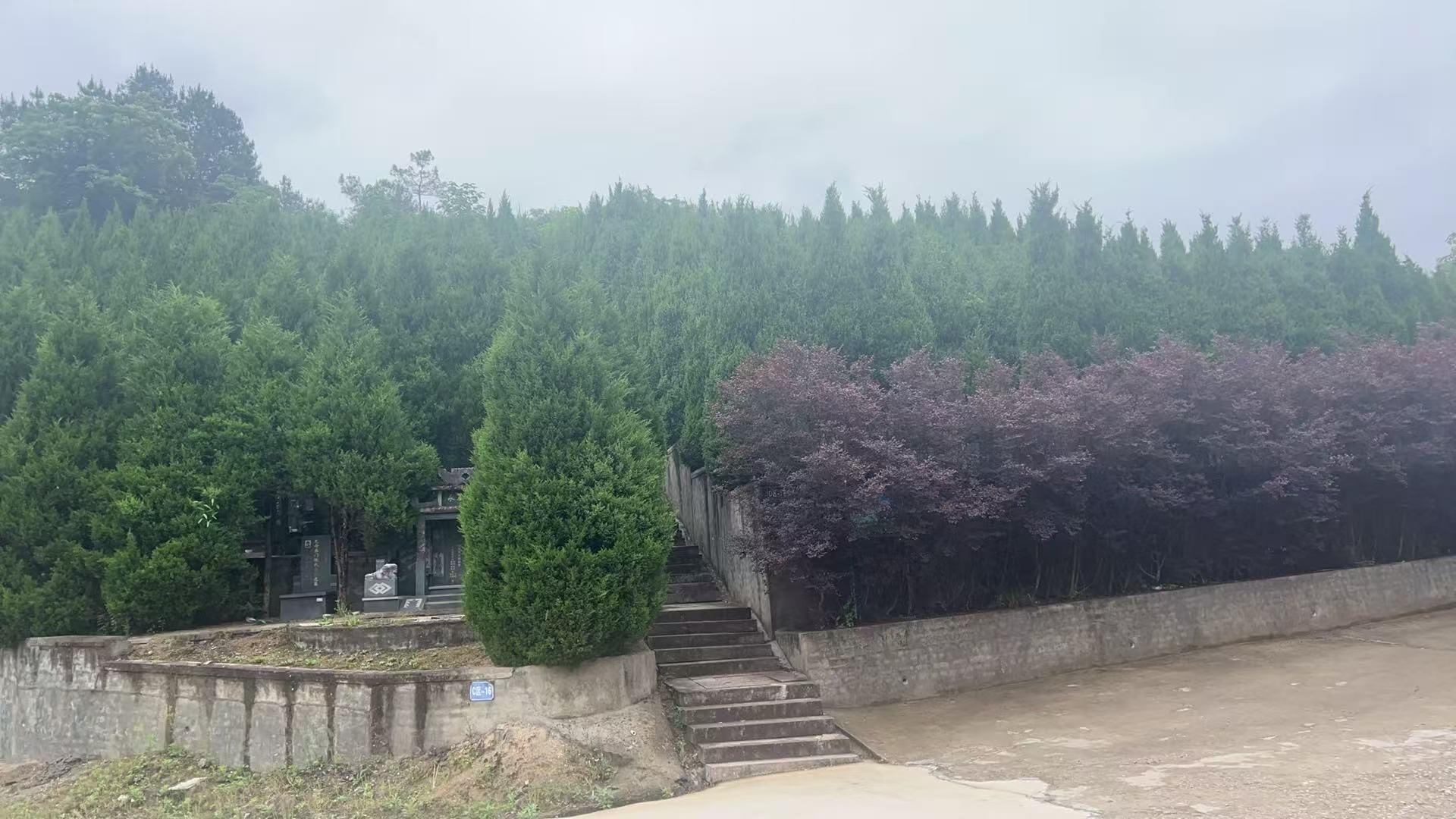 金盘山公益性生态公墓园区图片