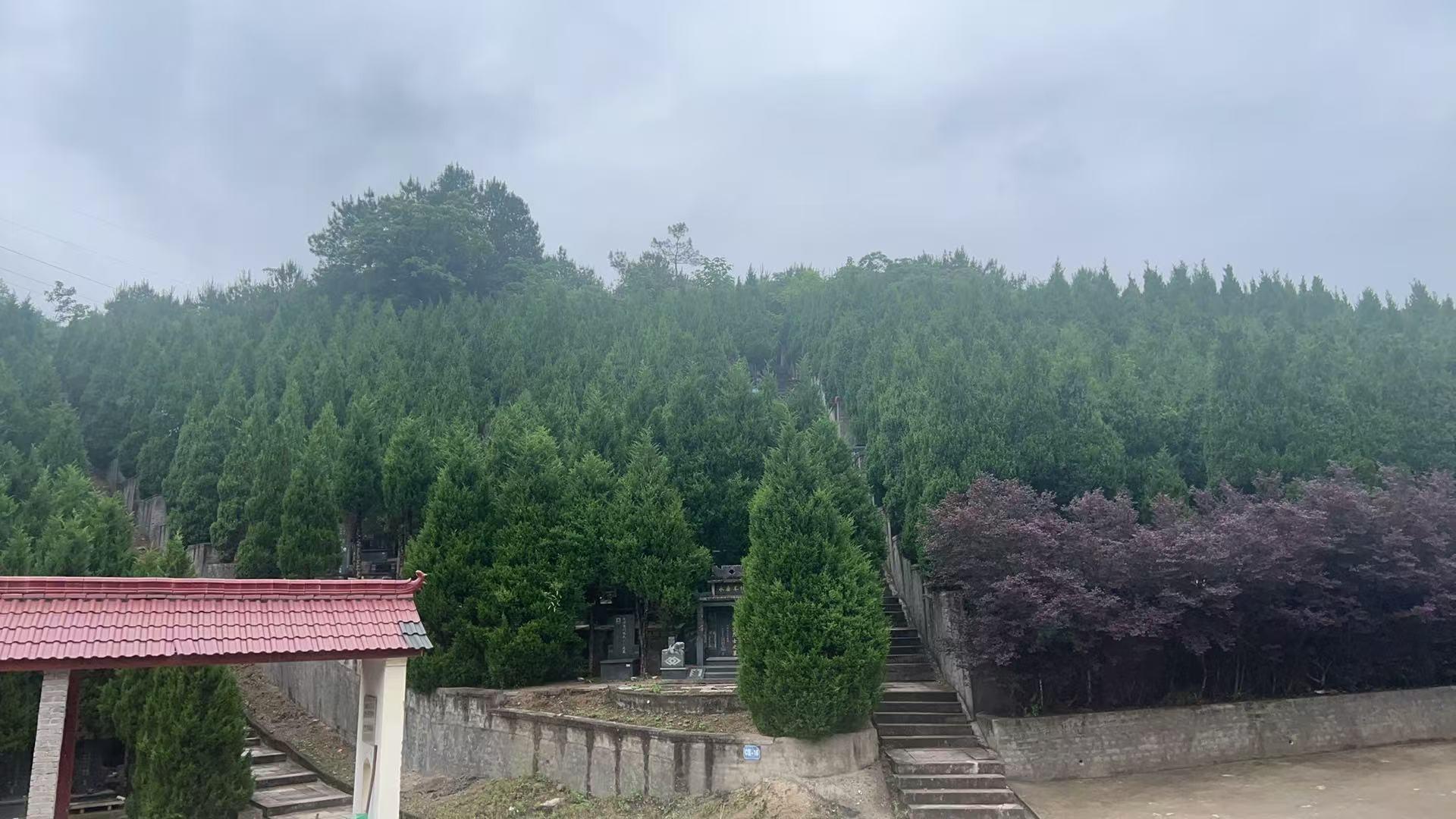 金盘山公益性生态公墓园区图片