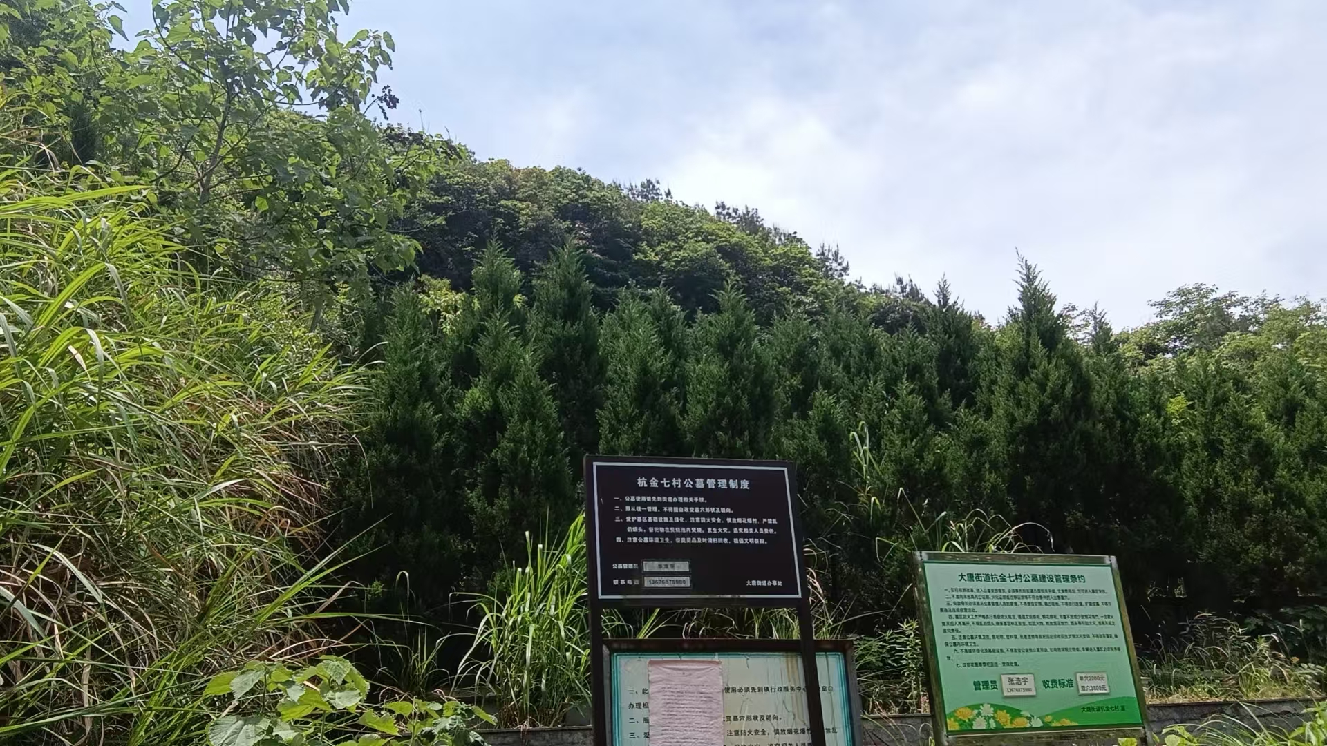 大唐街道杭金七村公益性公墓园区图片