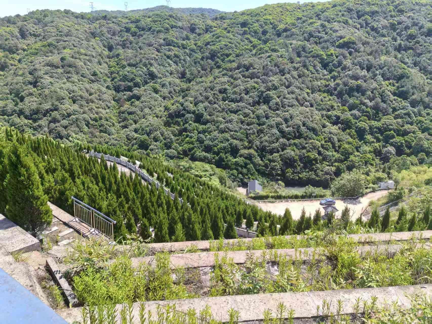 龙潭山公益性公墓园区图片
