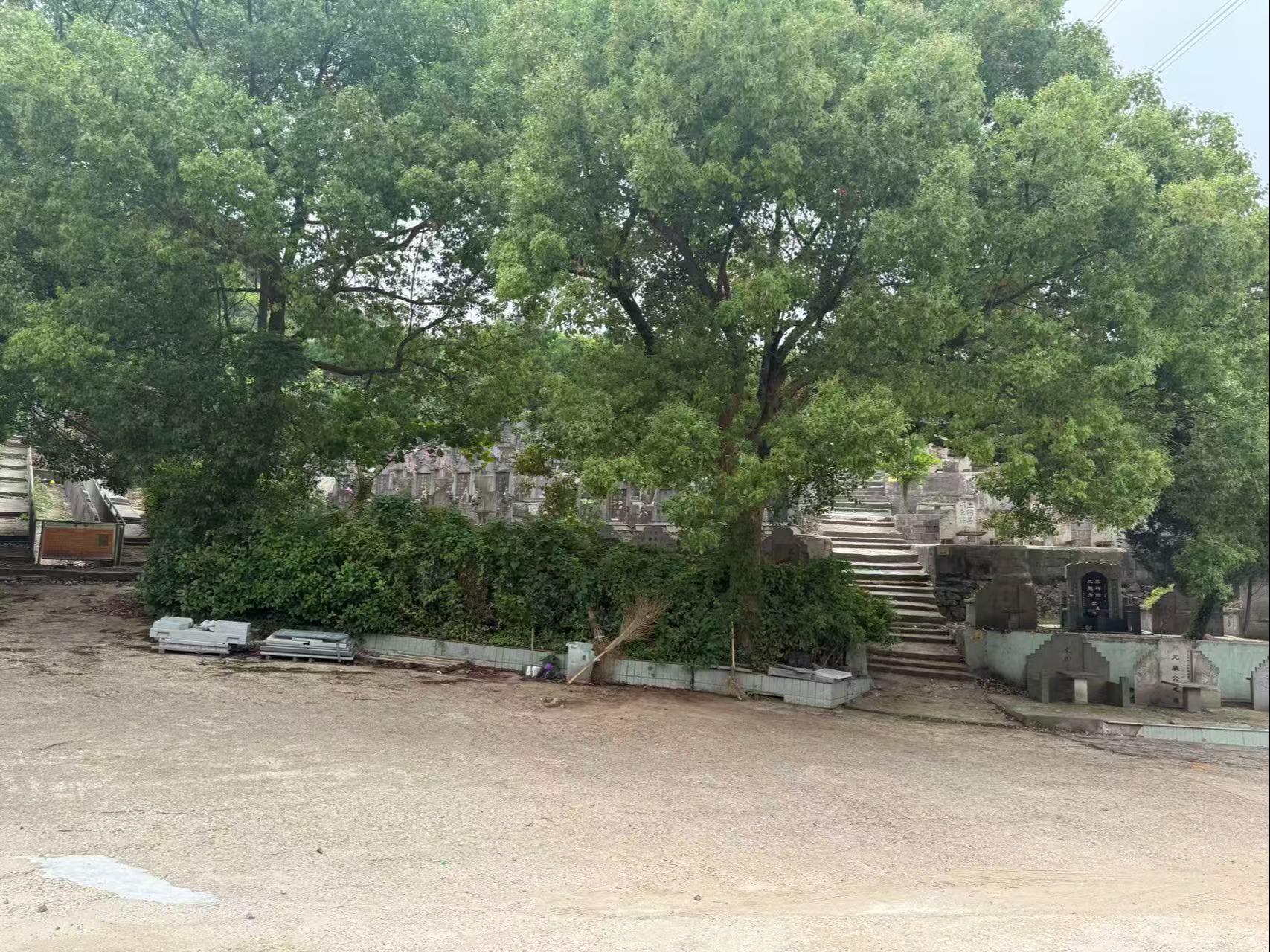 山下墓地园区图片