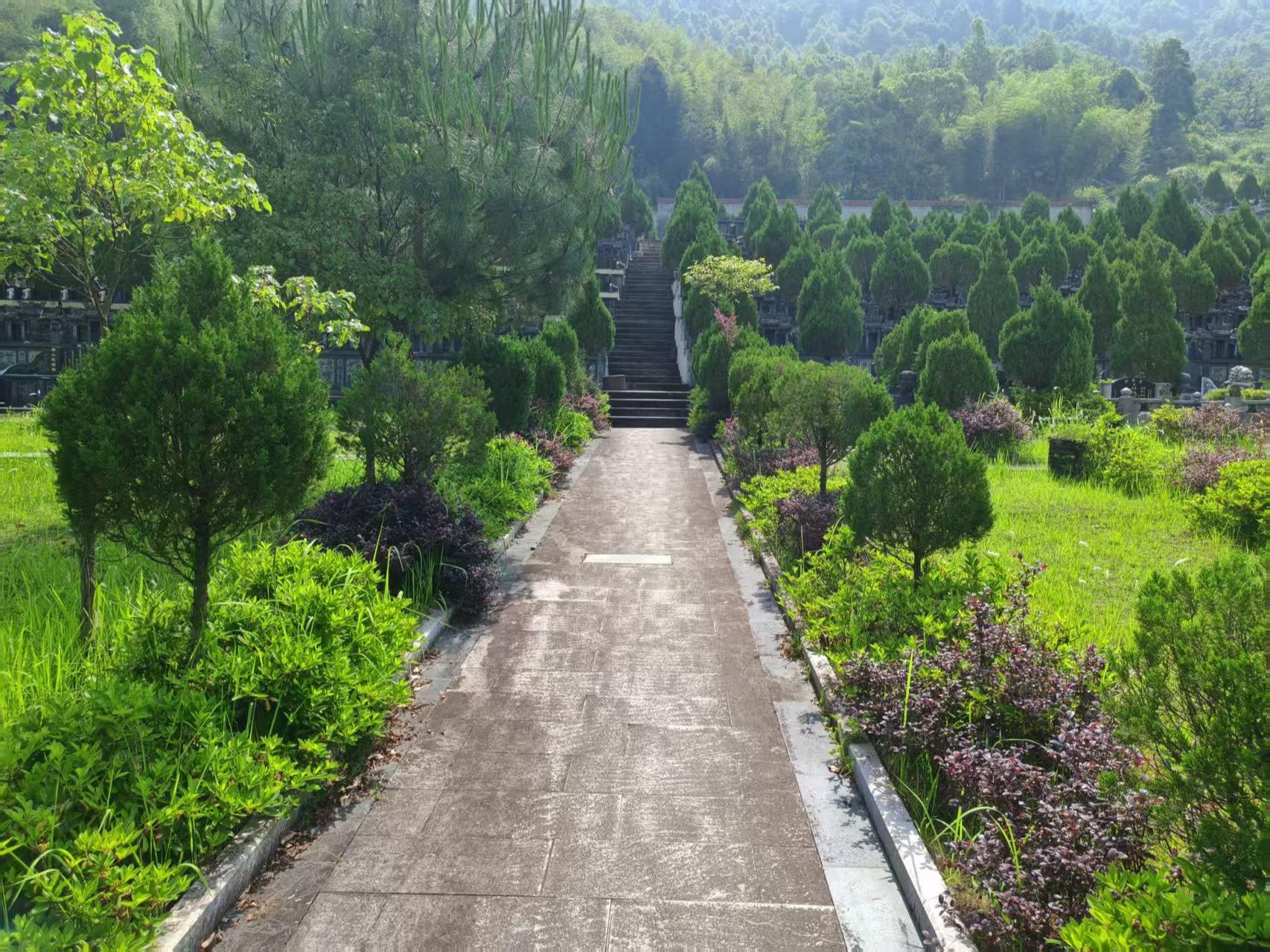灵溪镇卧龙岗公益性公墓园区图片