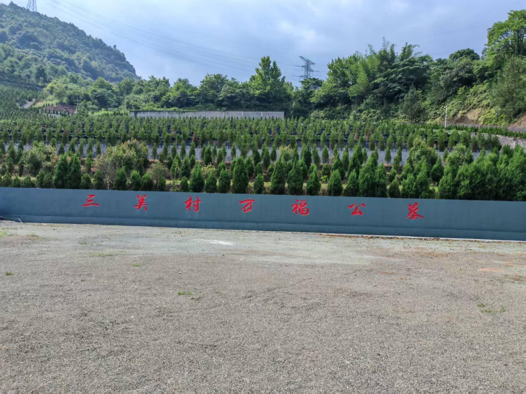 灵溪镇三美村公益性公墓园区图片